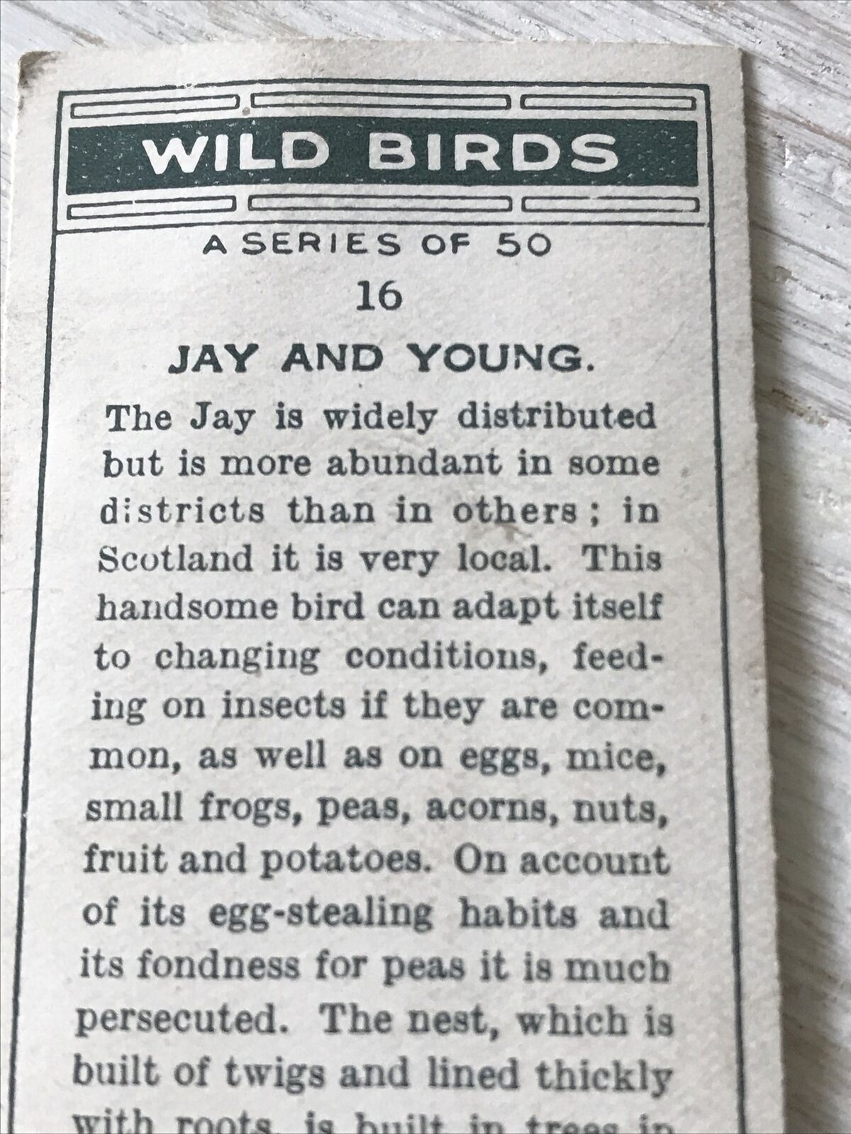 Players Cigarettes Card Wild Birds No.16 Jay & Young.