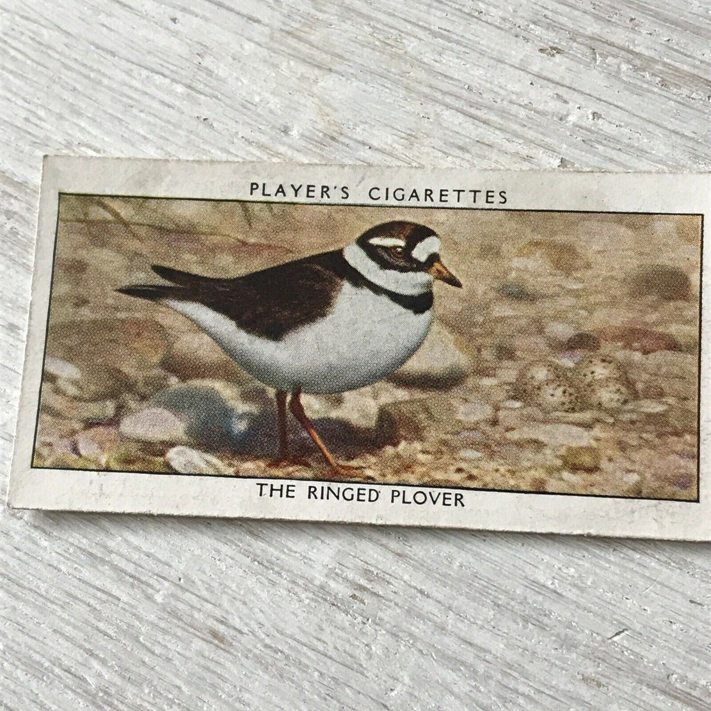 Players Cigarettes Card Wild Birds No.29 Ringed Plover. Coastal Bird.