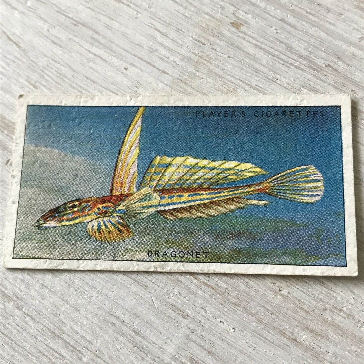 Players Cigarettes Card Sea Fishes 35 Dragonet. Fish. Vintage Card