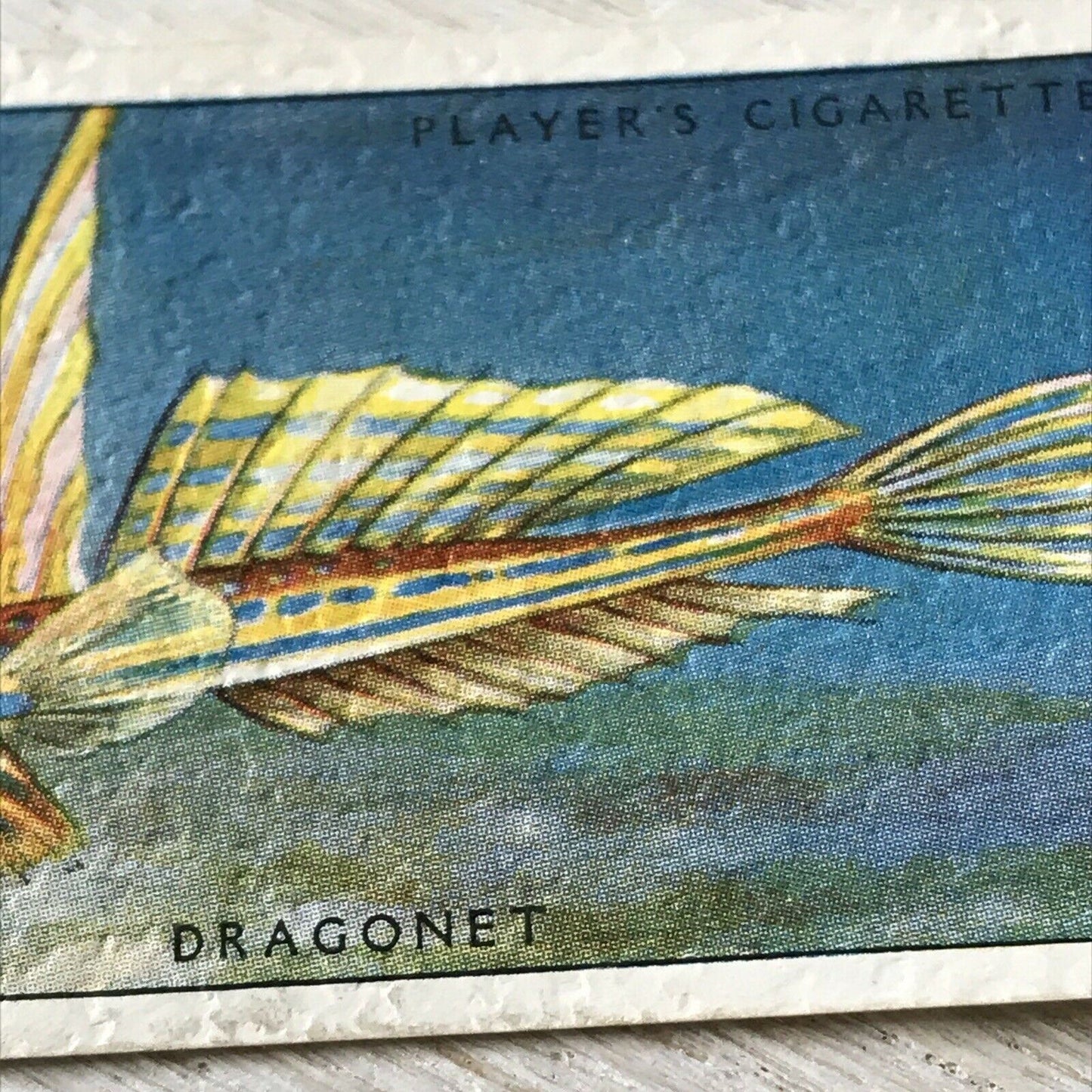 Players Cigarettes Card Sea Fishes 35 Dragonet. Fish. Vintage Card