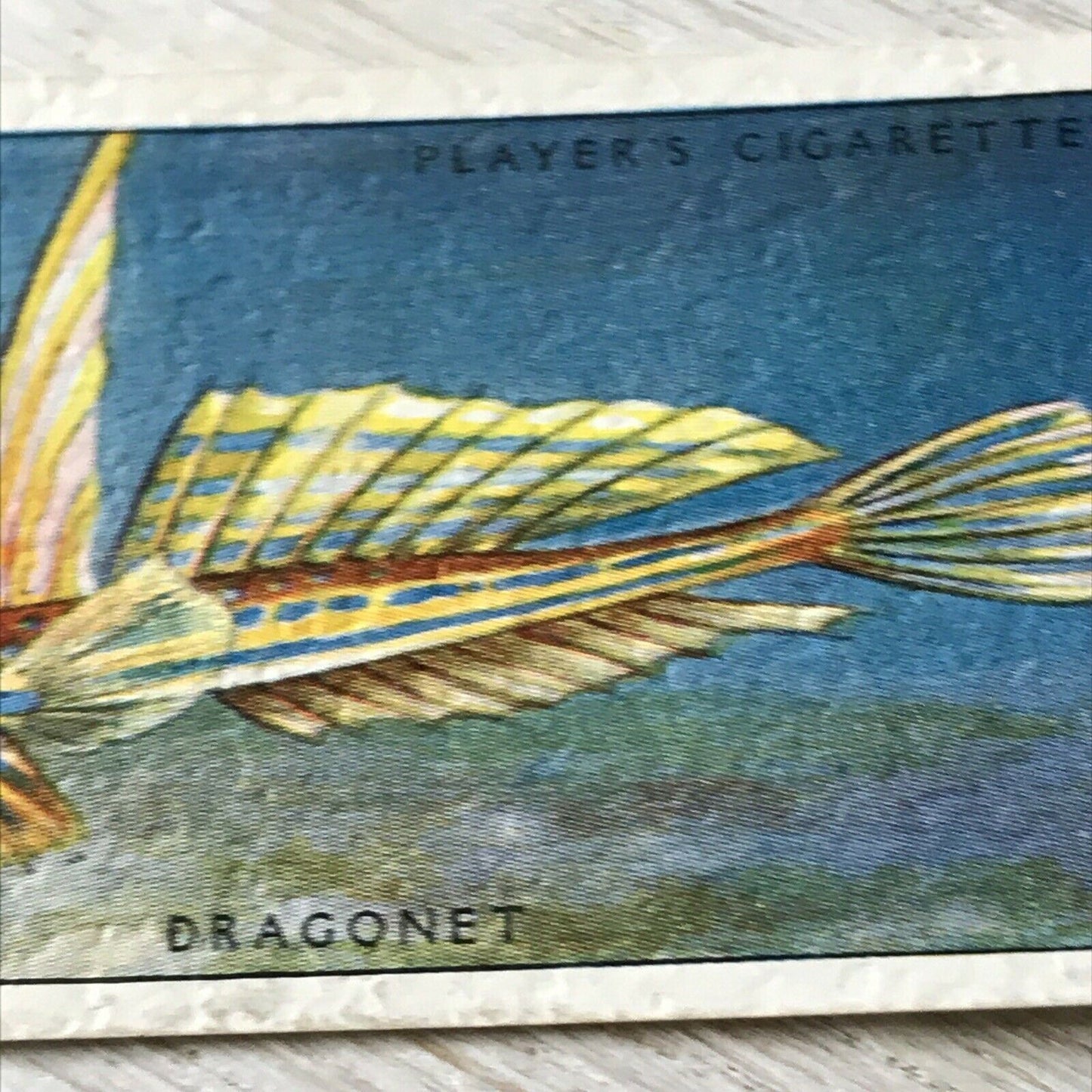 Players Cigarettes Card Sea Fishes 35 Dragonet. Fish. Vintage Card