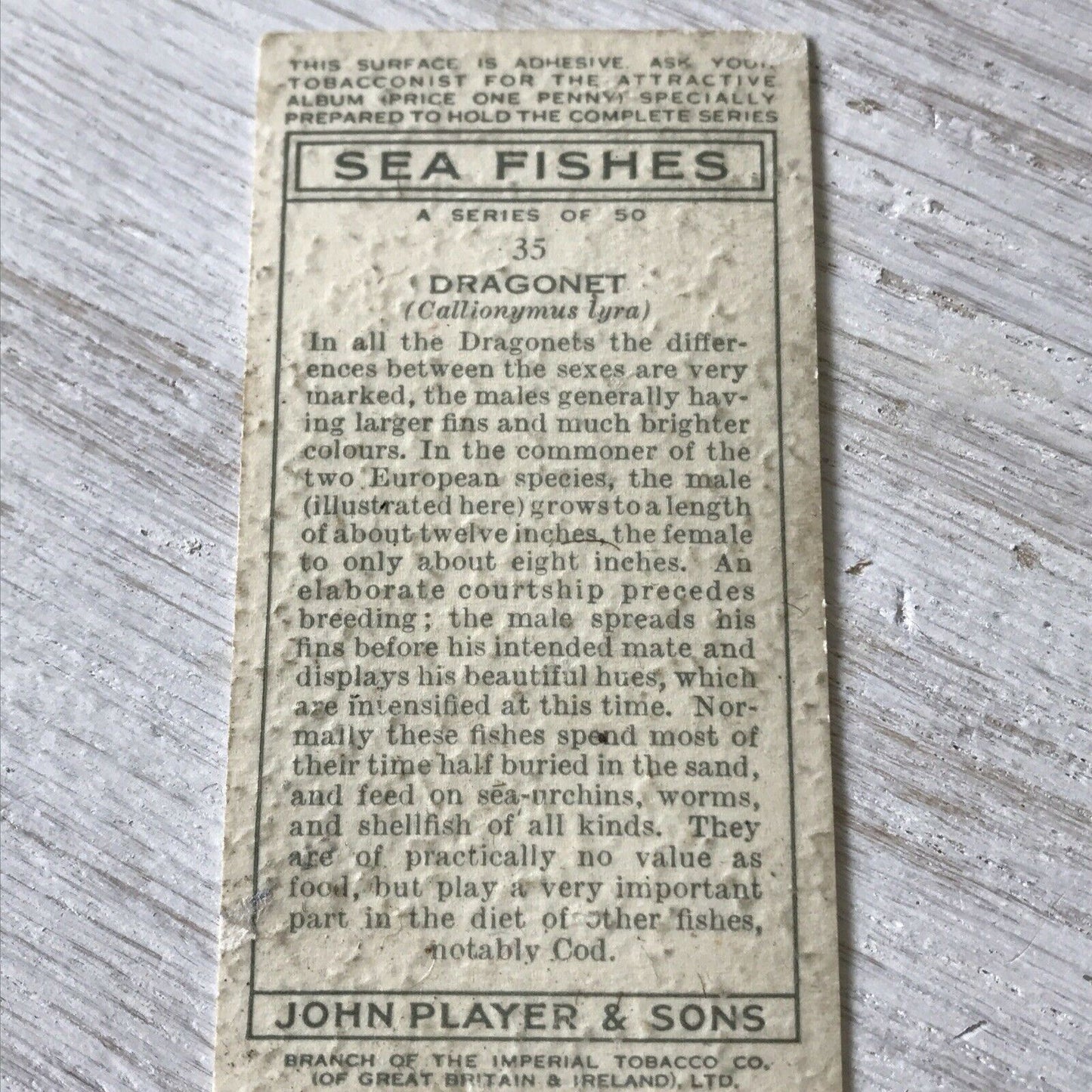 Players Cigarettes Card Sea Fishes 35 Dragonet. Fish. Vintage Card