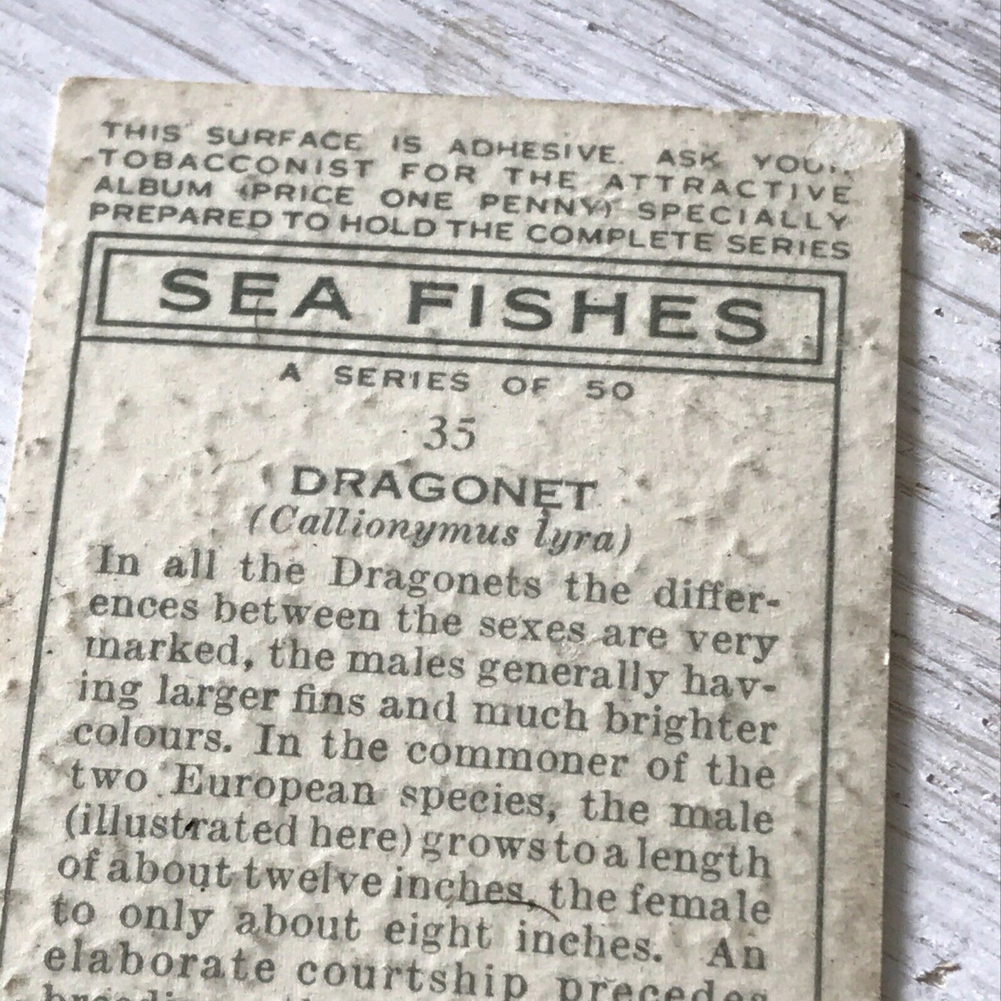 Players Cigarettes Card Sea Fishes 35 Dragonet. Fish. Vintage Card