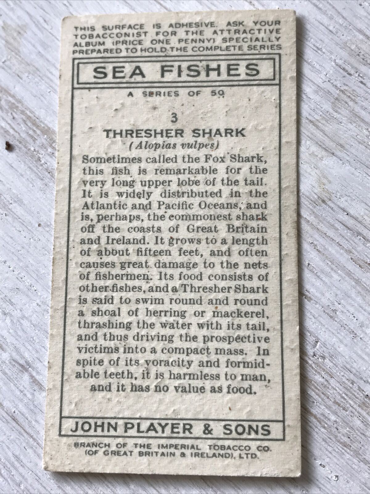 Players Cigarettes Card Sea Fishes 3 Thresher Shark Fox Shark Vintage