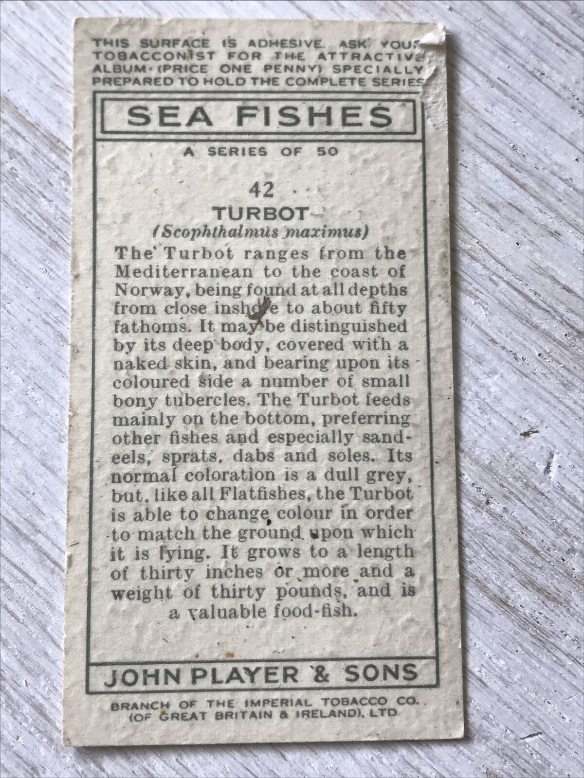 Players Cigarettes Card Sea Fishes 42 Turbot. Vintage Card. Fish