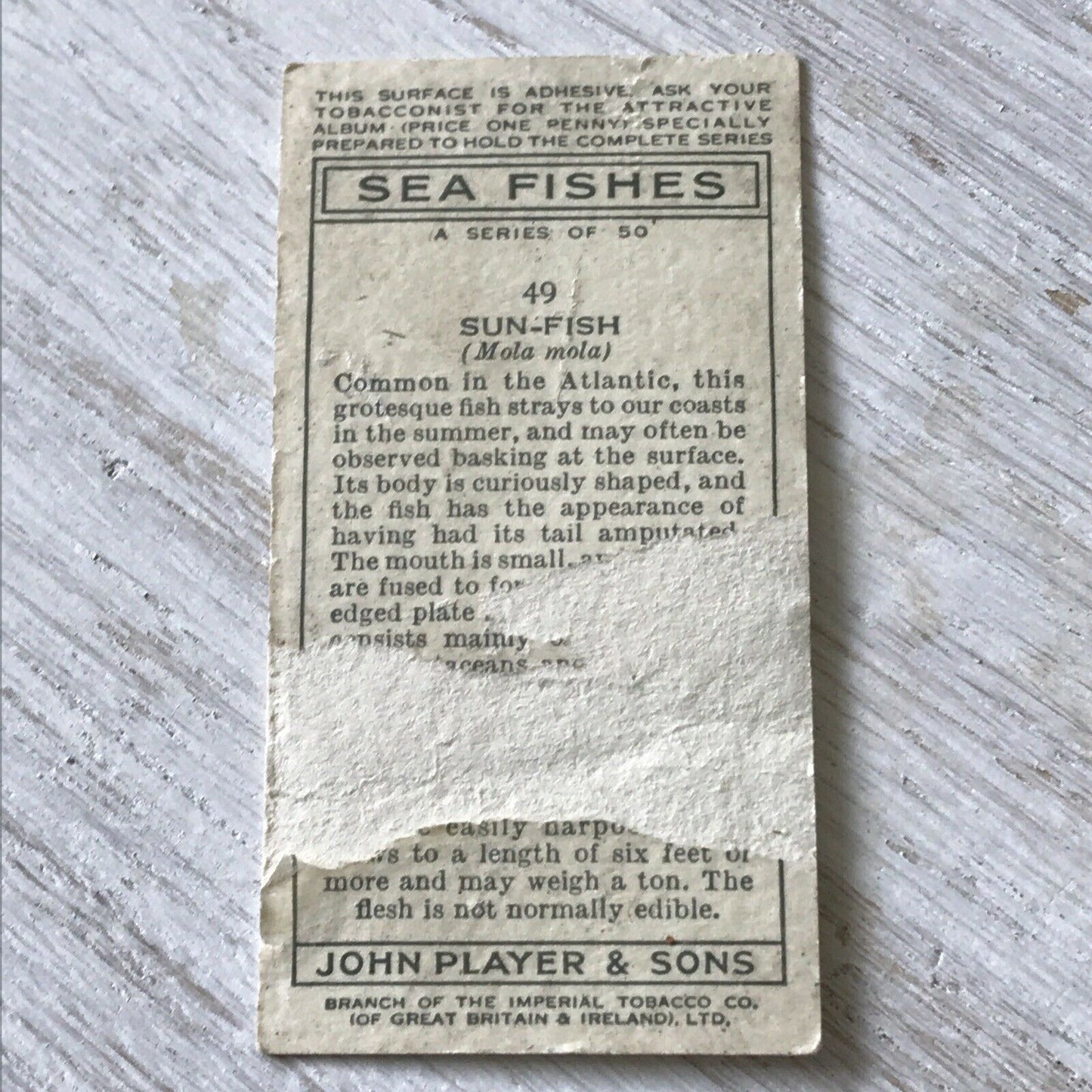 Players Cigarettes Card Sea Fishes 49 Sun-fish Vintage DAMAGED