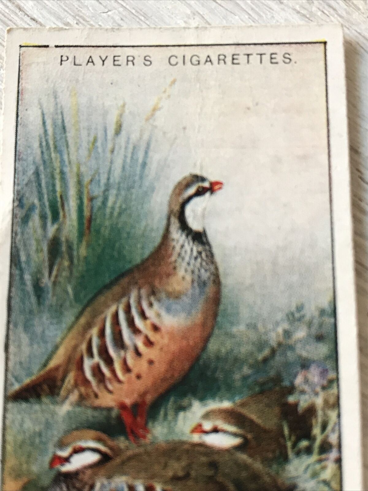 Players Cigarette Card Game Birds & Wild Fowl. 27 Red Legged Partridge Vintage