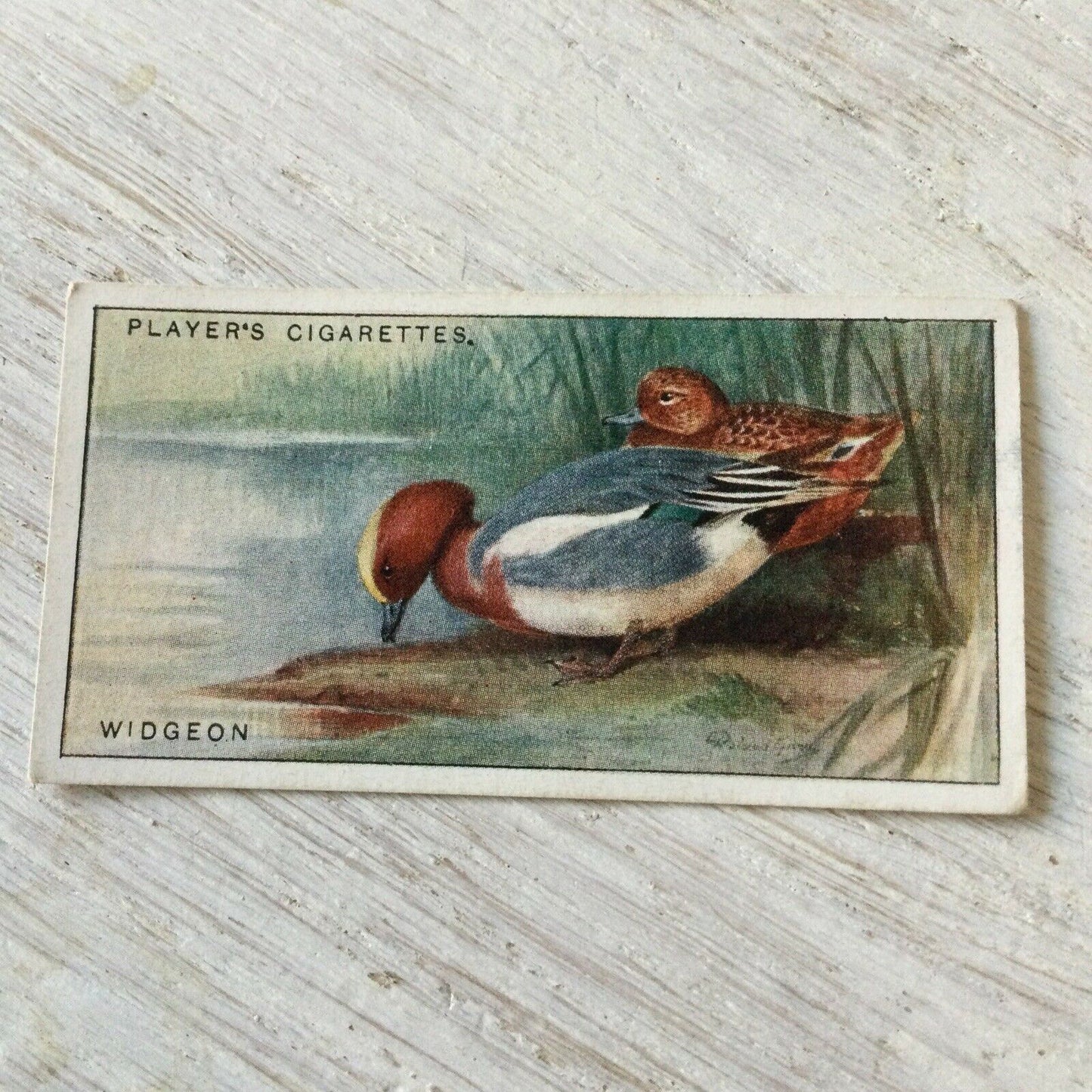 Players Cigarette Card Game Birds & Wild Fowl No.49 Widgeon Vintage Print