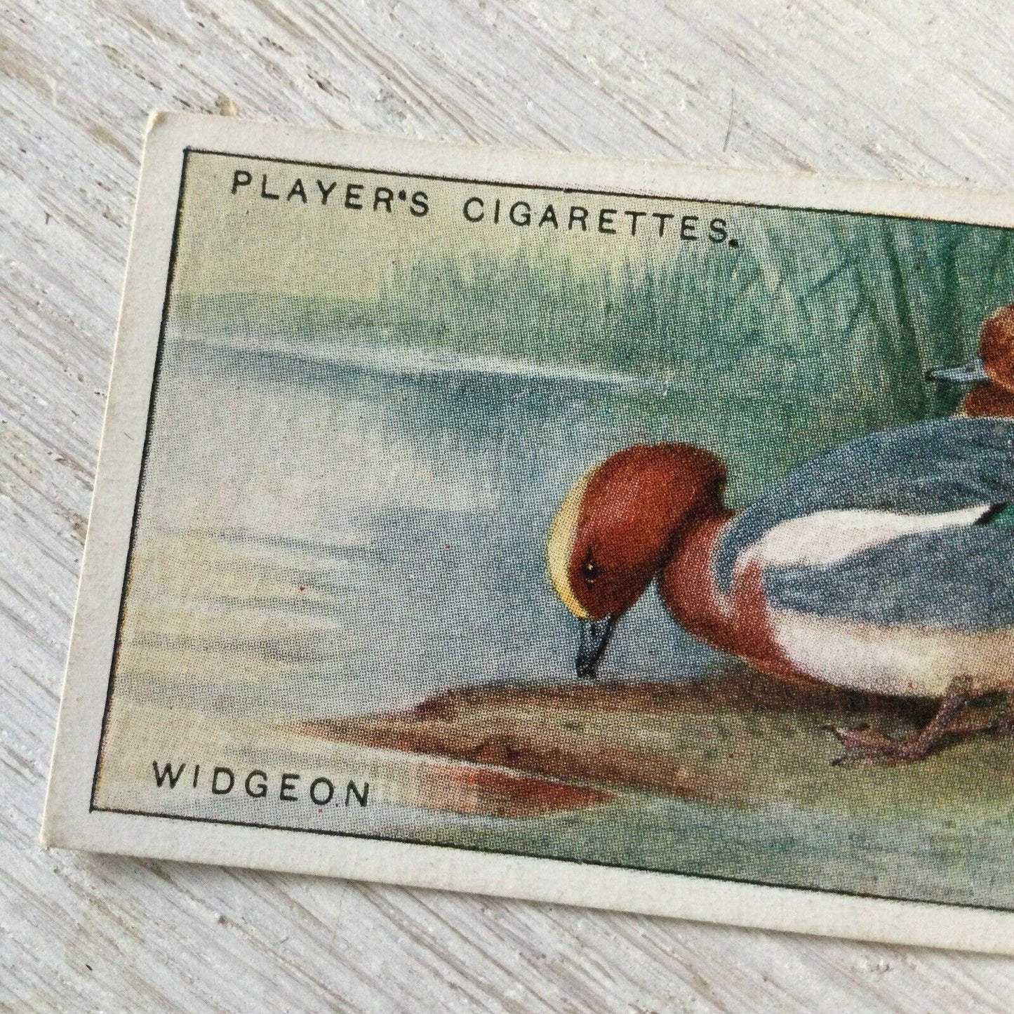 Players Cigarette Card Game Birds & Wild Fowl No.49 Widgeon Vintage Print