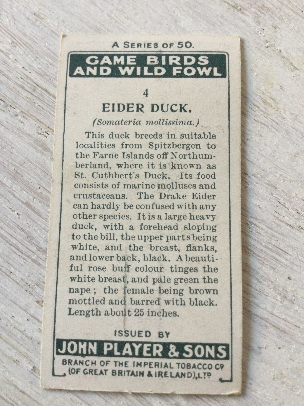 Players Cigarette Card Game Birds & Wild Fowl No. 4 Eider Duck Vintage Picture