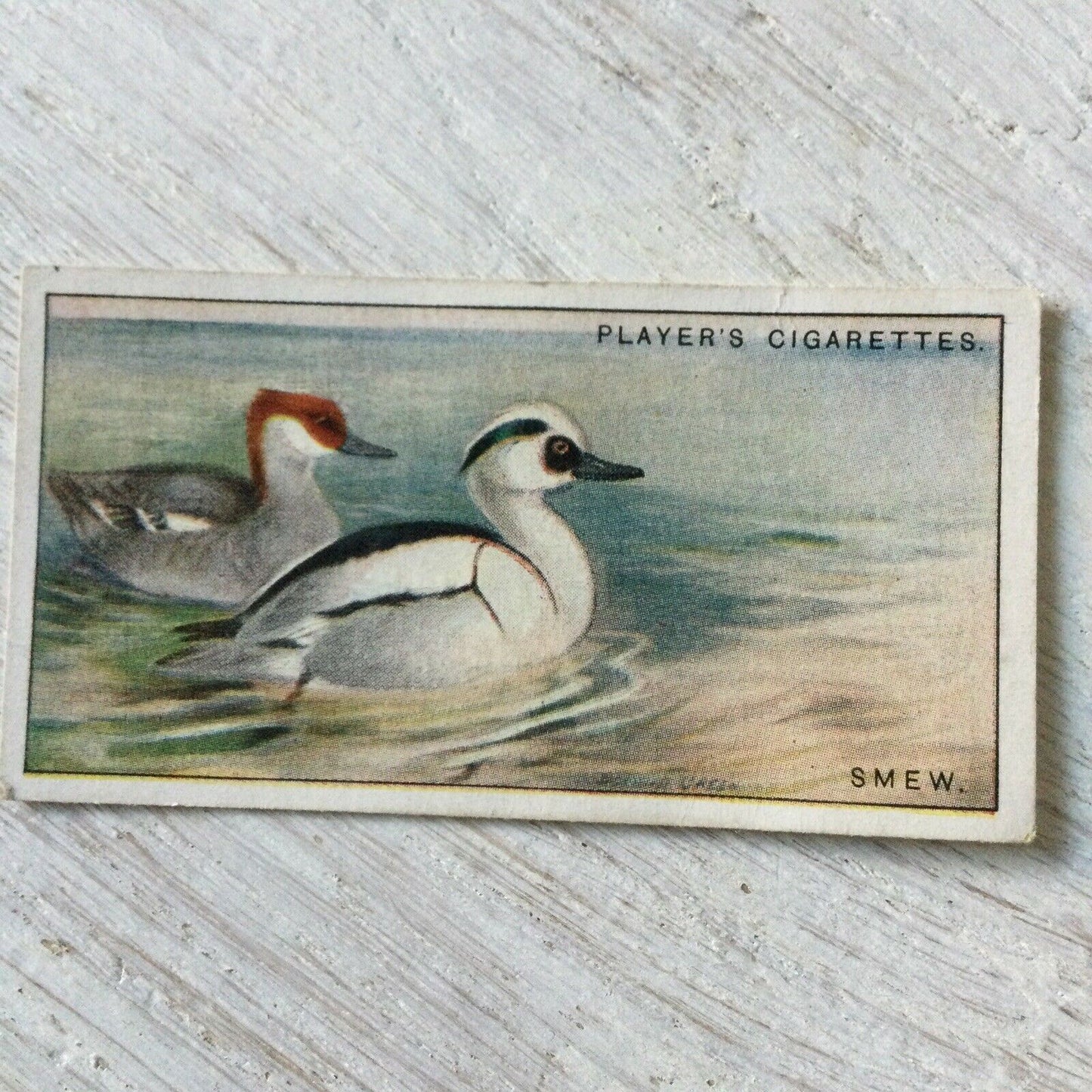 Players Cigarette Card Game Birds & Wild Fowl No. 42 Smew Smee Sawbill Vintage