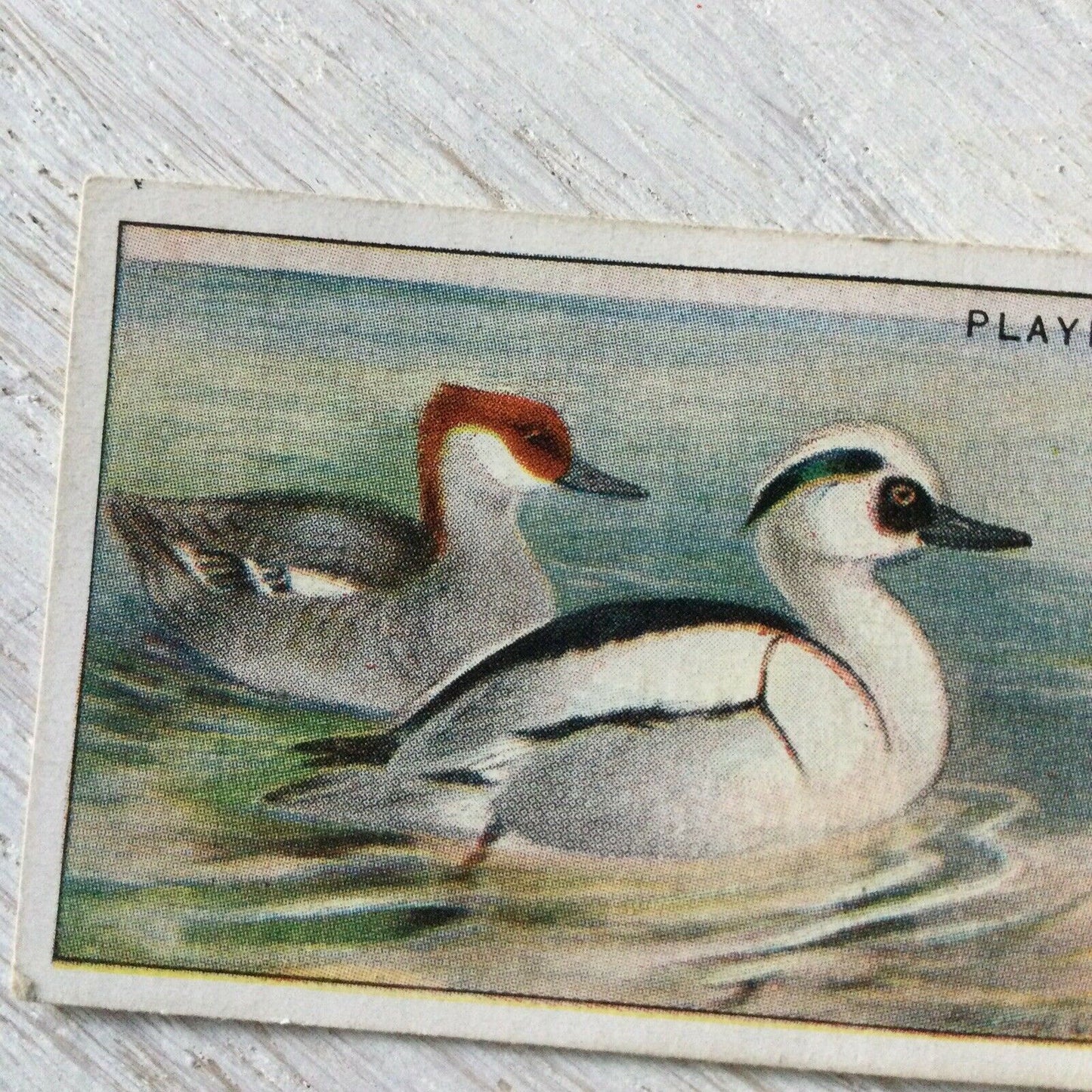 Players Cigarette Card Game Birds & Wild Fowl No. 42 Smew Smee Sawbill Vintage