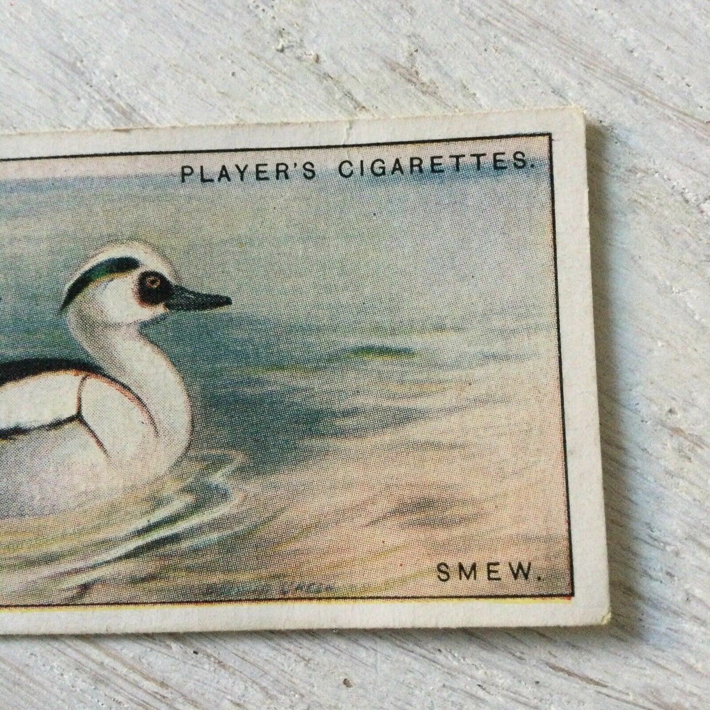 Players Cigarette Card Game Birds & Wild Fowl No. 42 Smew Smee Sawbill Vintage