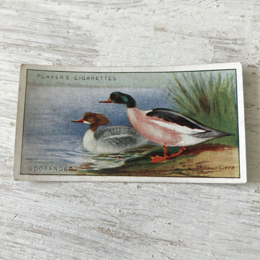 Players Cigarette Card Game Birds & Wild Fowl 14 Goosander Duck Vintage Picture