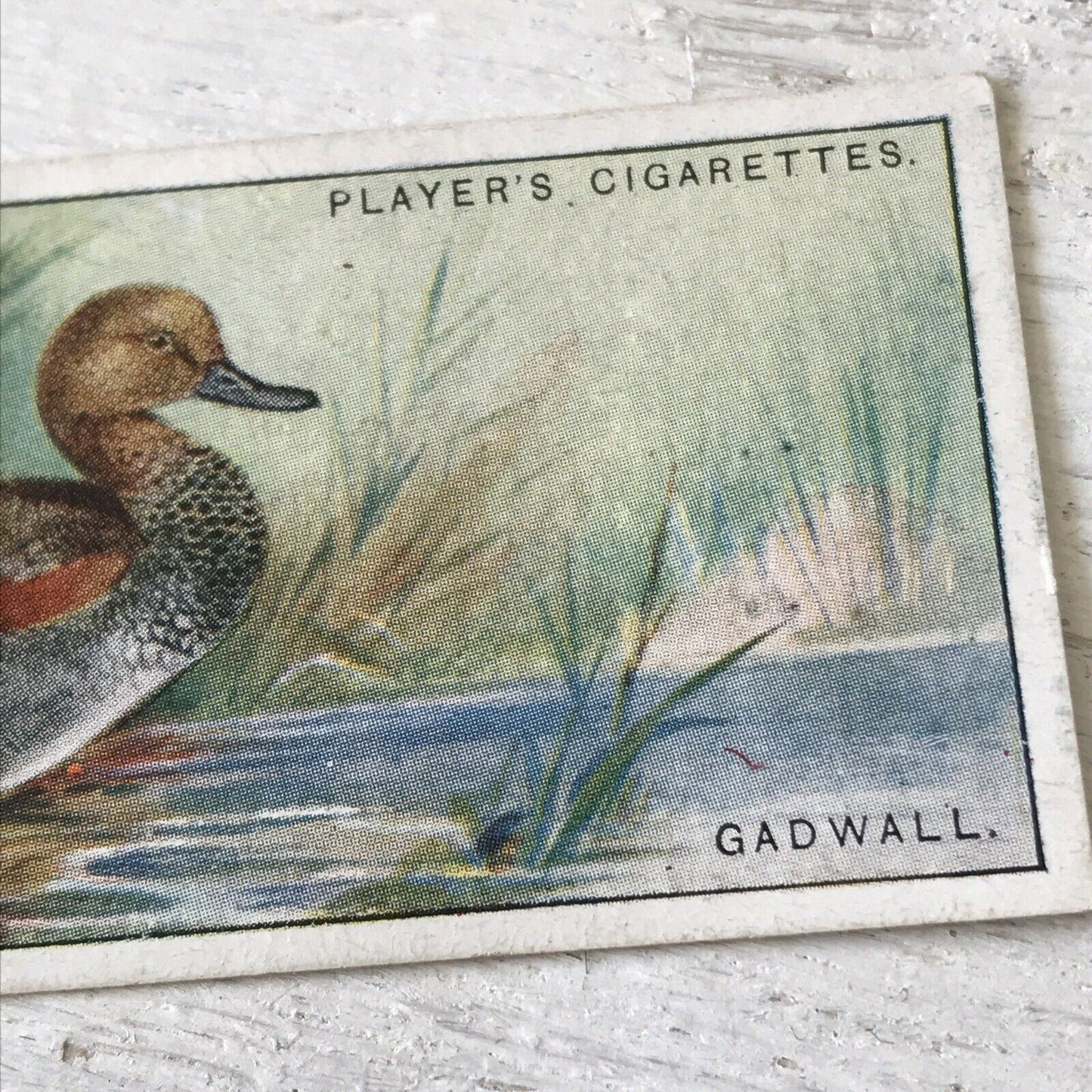 Players Cigarette Card Game Birds & Wild Game no. 11 Gadwall Duck Norfolk Vintage 1927