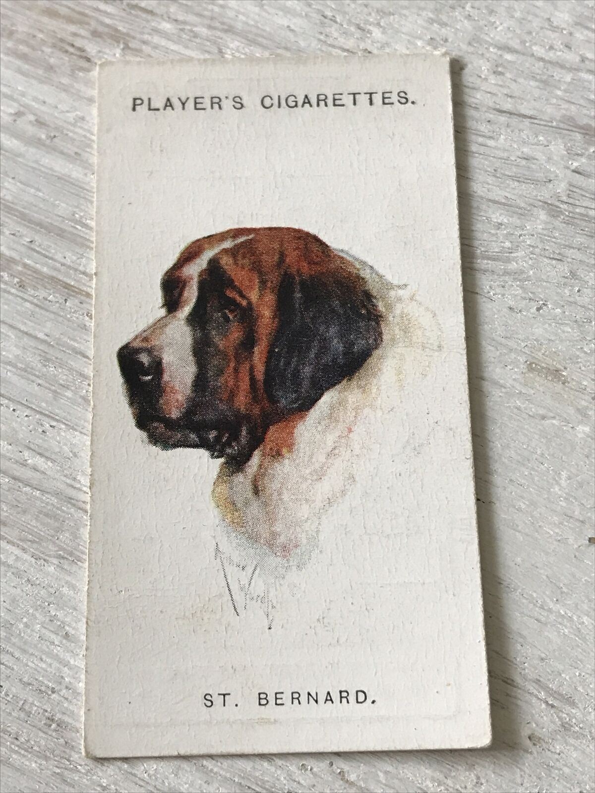 Players Cigarette Card Dogs 26 St Bernard Swiss Holy Breed Rescue Dogs Vintage