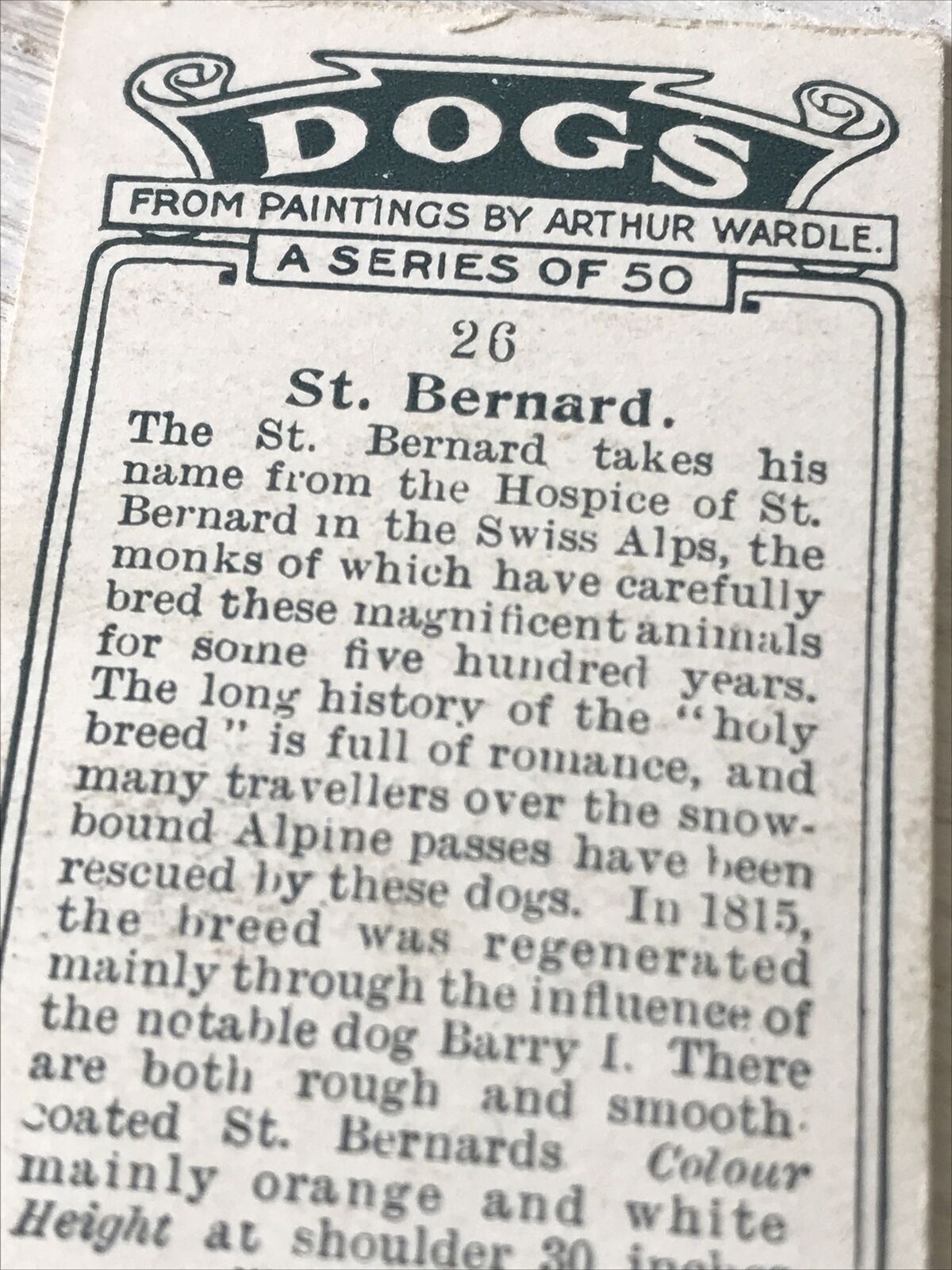 Players Cigarette Card Dogs 26 St Bernard Swiss Holy Breed Rescue Dogs Vintage