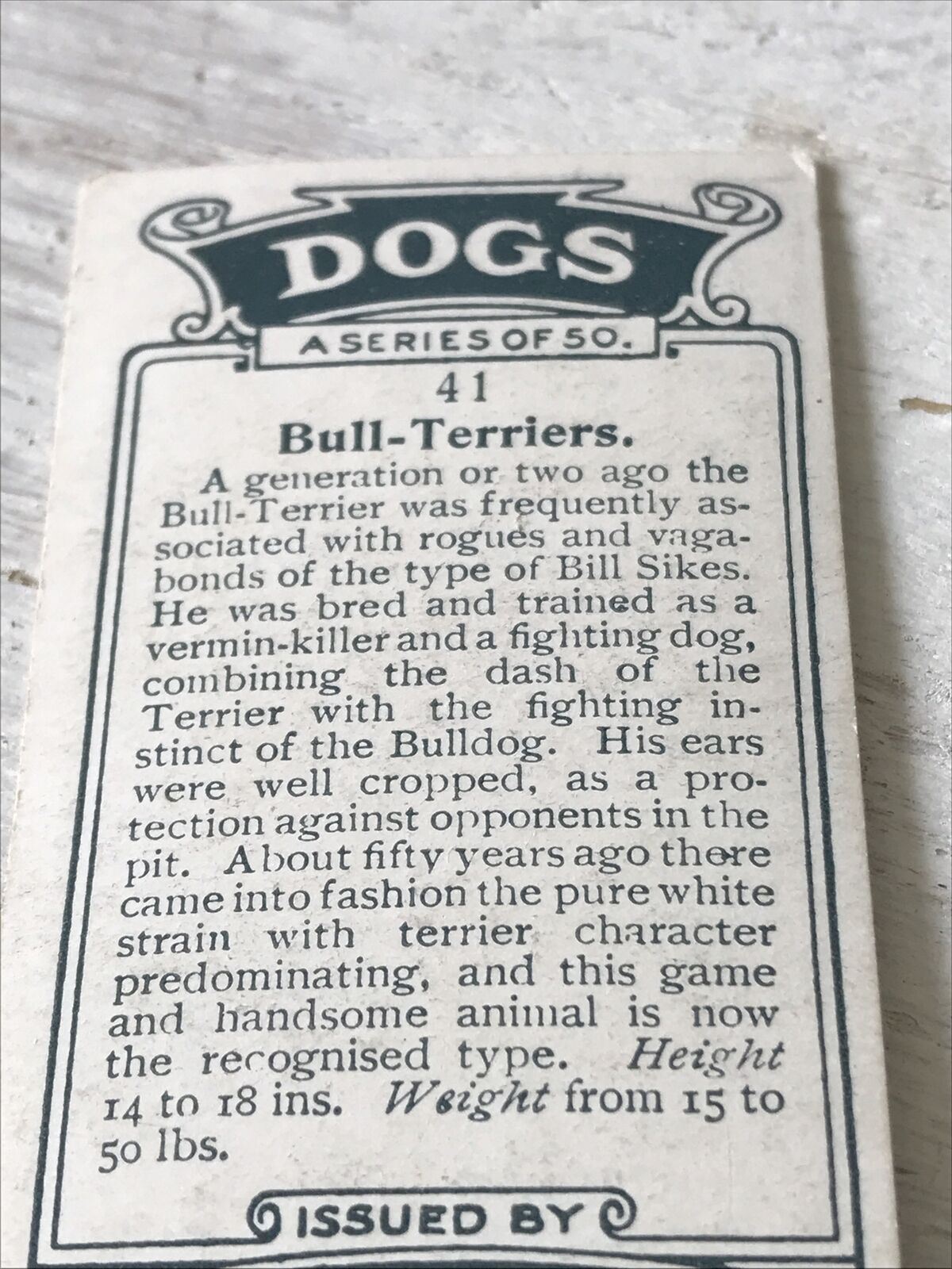 Players Cigarette Card Dogs 41 Bull-Terriers White Vintage