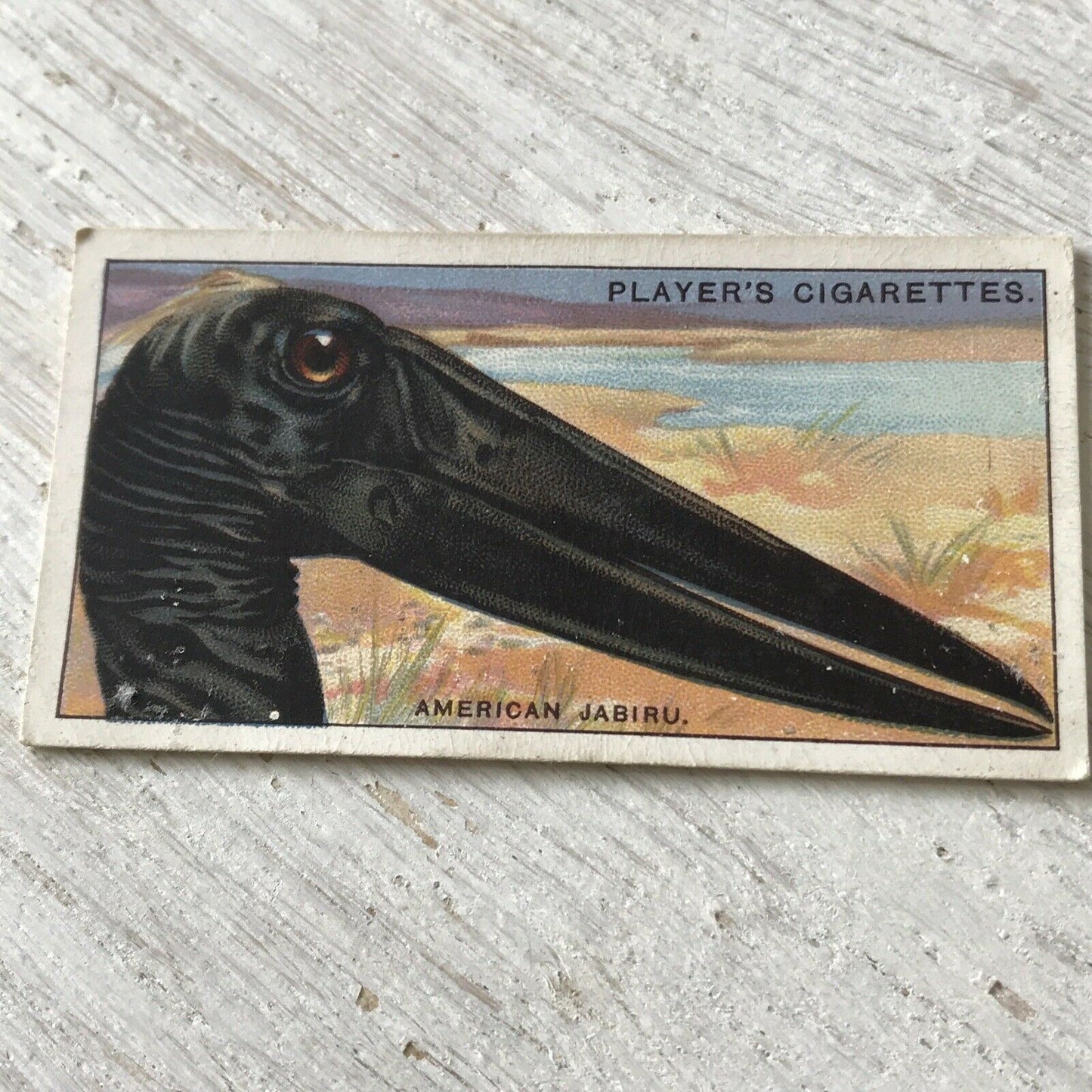 Players Cigarette Card Curious Beaks 28 American Jabiru Bird Stork Vintage