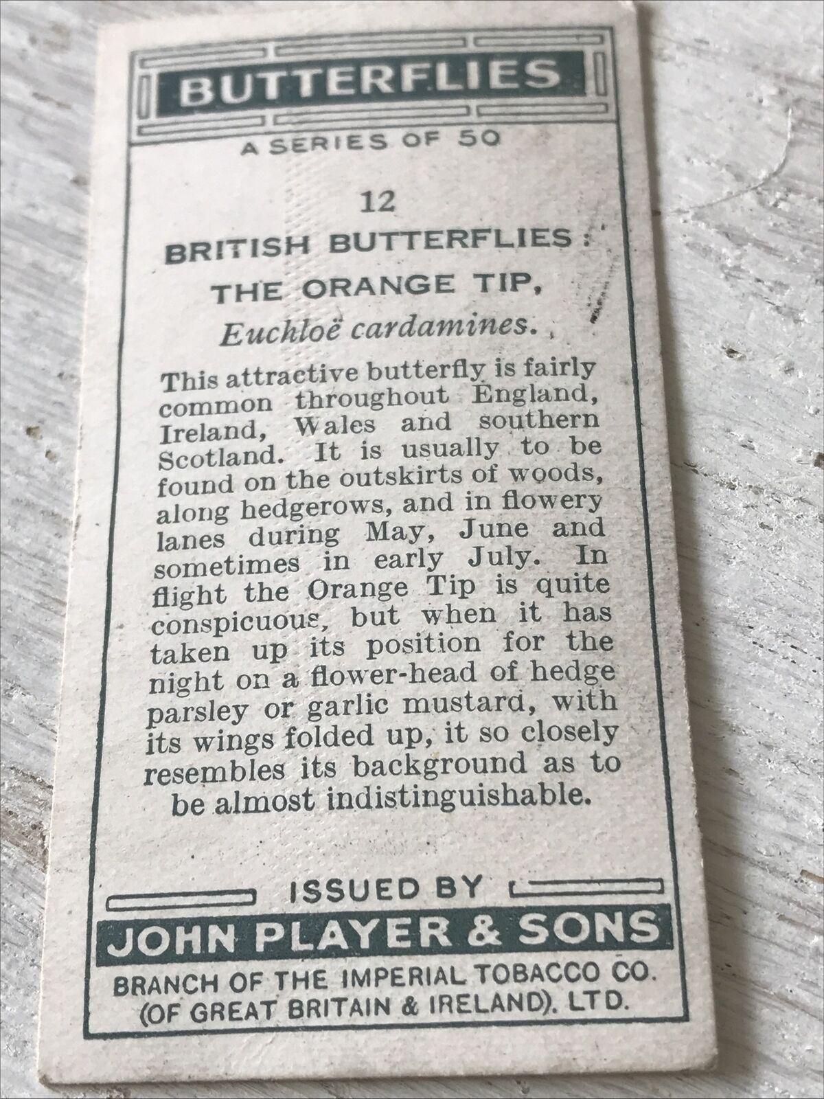 Players Cigarette Card Butterflies 12 British Orange Tip Vintage Picture