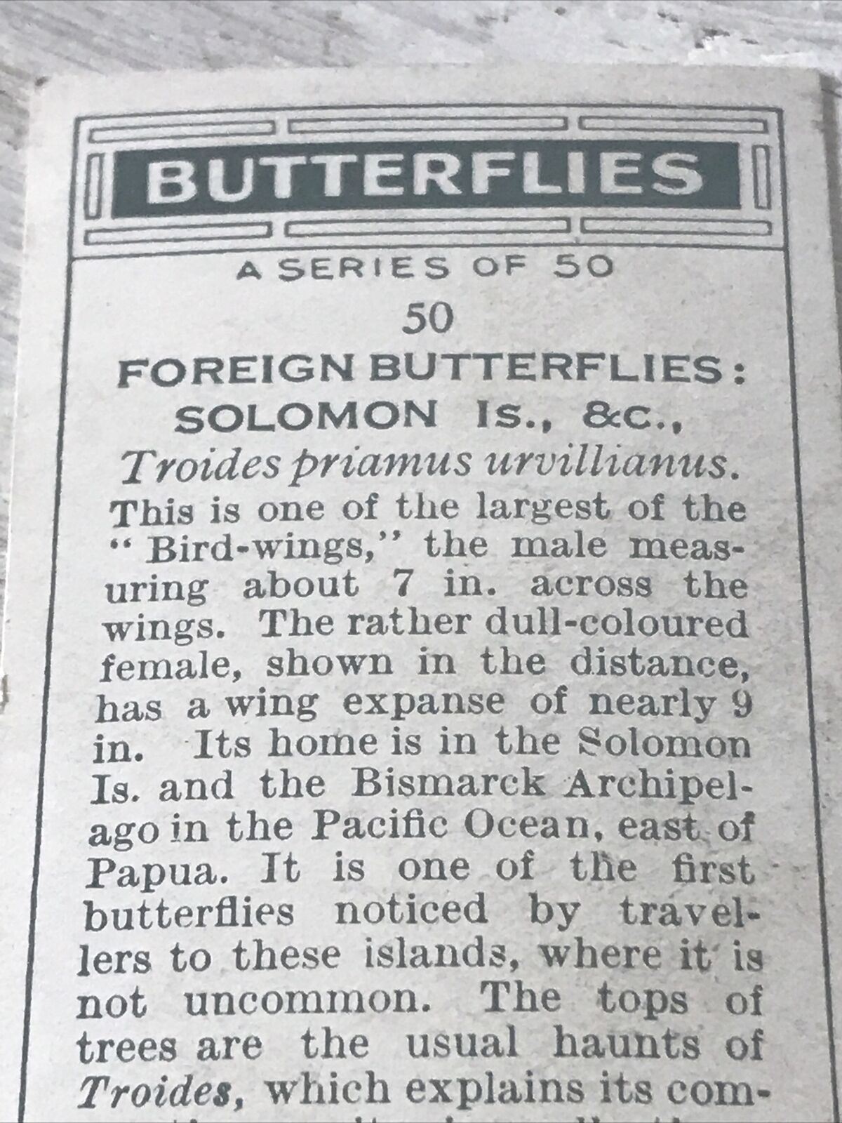 Players Cigarette Card Butterflies 50 Foreign Solomon Is. Bird wings Vintage