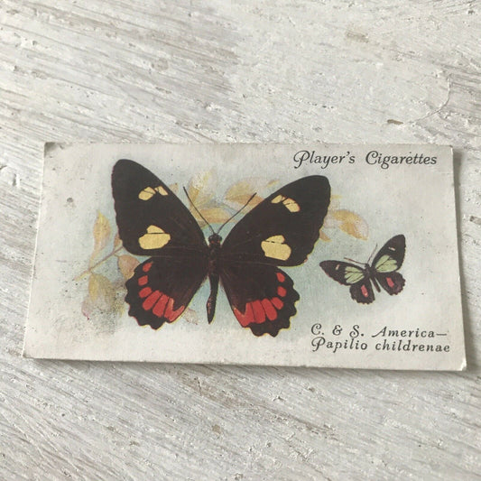 Players Cigarette Card Butterflies 32 Foreign Central South America Papilio Chil