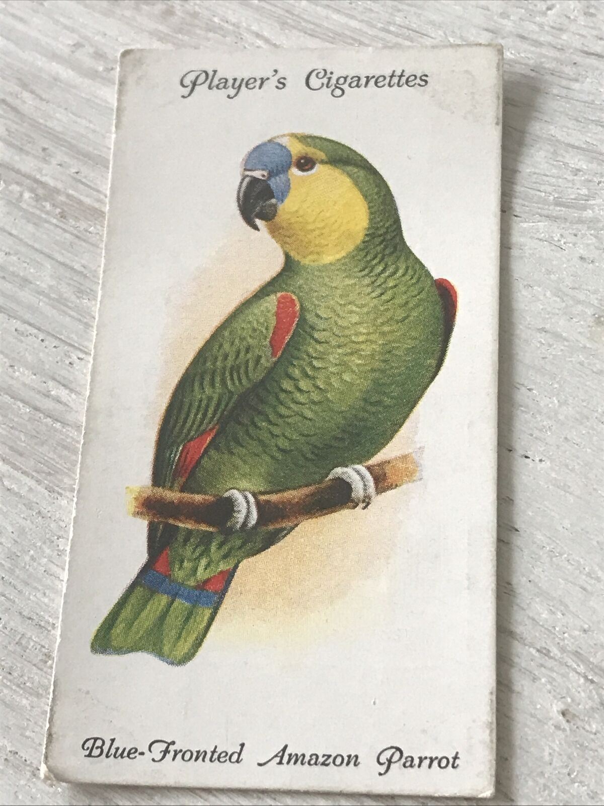 Players Cigarette Card Aviary & Cage Birds 26 Blue-fronted Amazon Parrot Vintage 1933