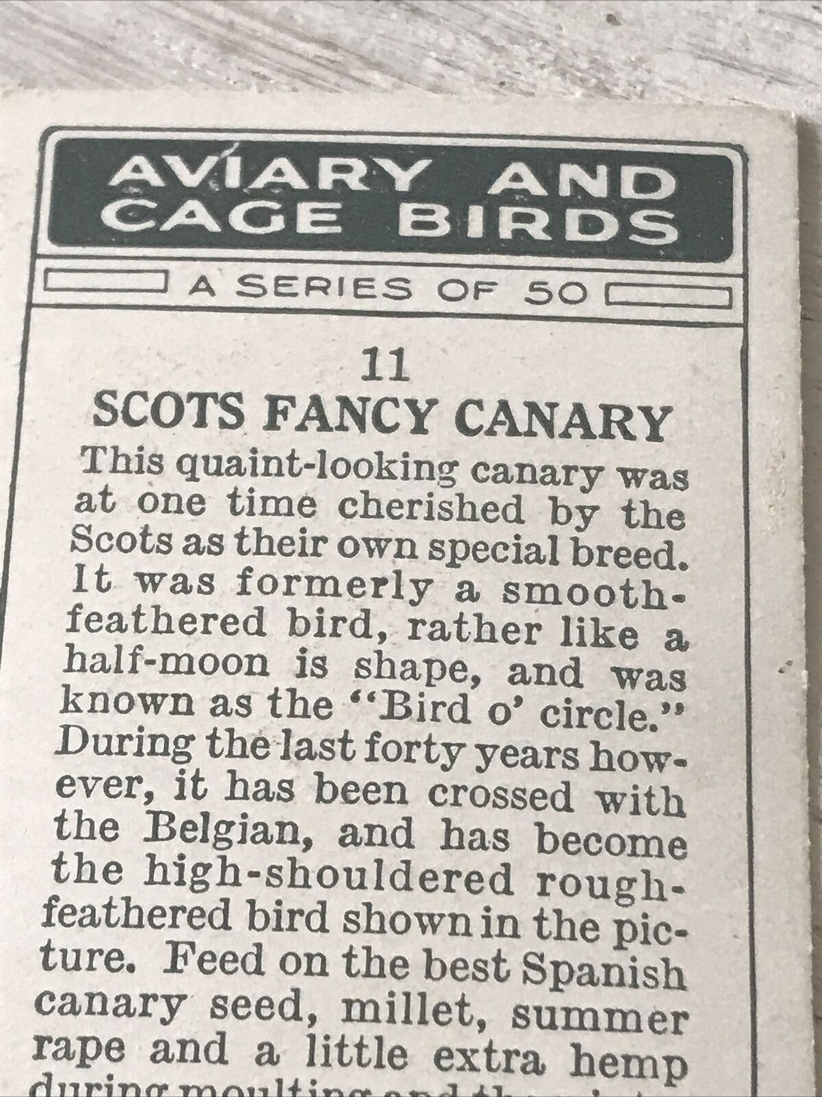 Players Cigarette Card Aviary & Cage Birds 11 Scots Fancy Canary Unusual Vintage