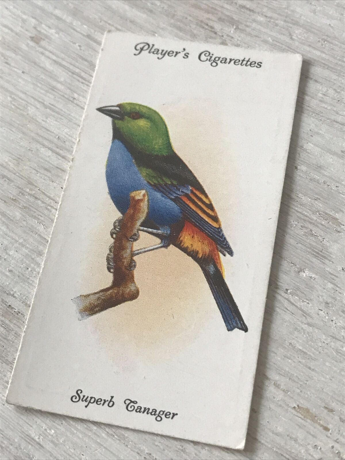 Players Cigarette Card Aviary & Cage Birds 36 Superb Tanager Colourful Vintage