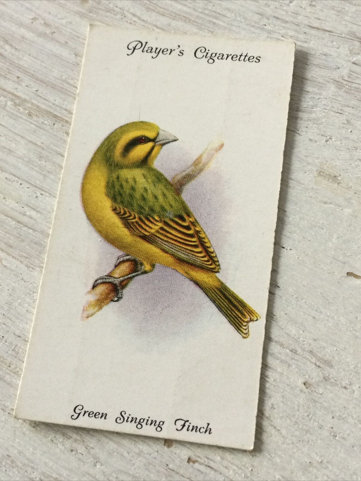 Players Cigarette Card Aviary & Cage Birds 45 Green Singing Finch Africa