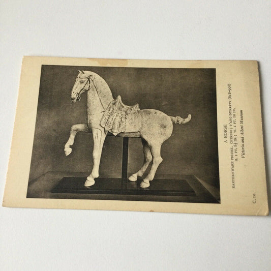 Vintage Postcard Black White V & A Museum Chinese Earthenware Horse T’Ang Dynast