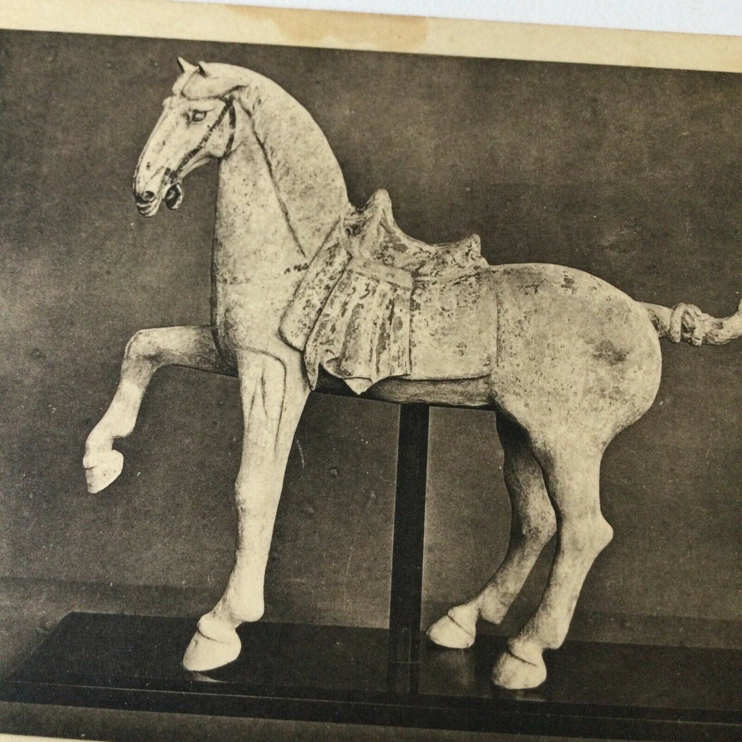 Vintage Postcard Black White V & A Museum Chinese Earthenware Horse T’Ang Dynast