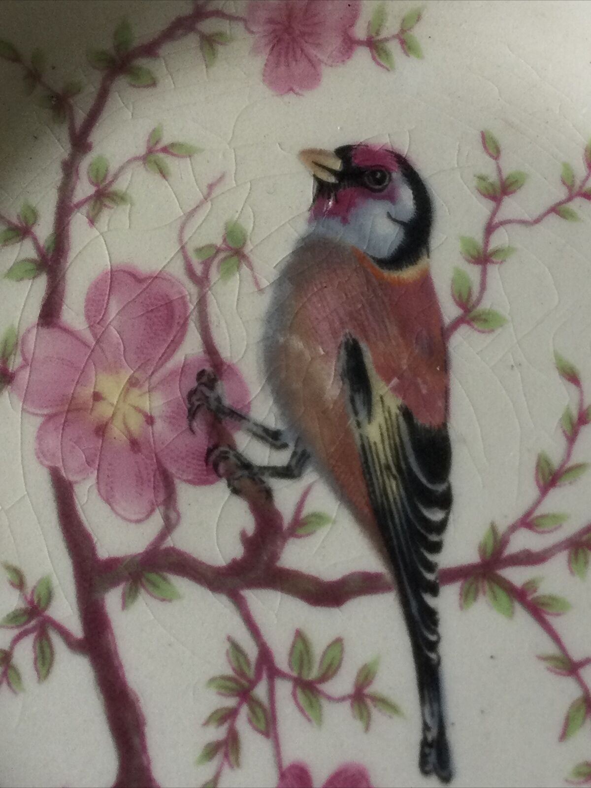 Royal Worcester Palissy Trinket Dish Small Plate Bird On Cherry Blossom Lesser Redpoll Finch.