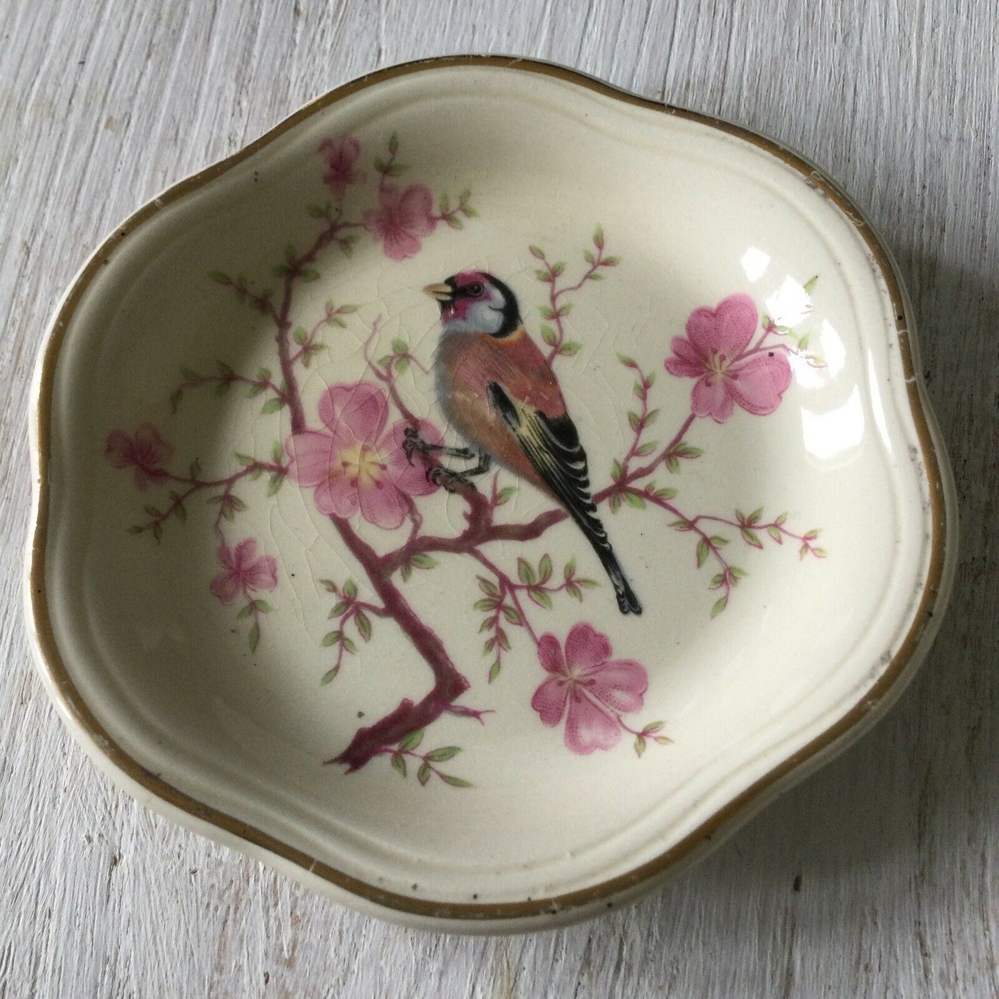 Royal Worcester Palissy Trinket Dish Small Plate Bird On Cherry Blossom Lesser Redpoll Finch.