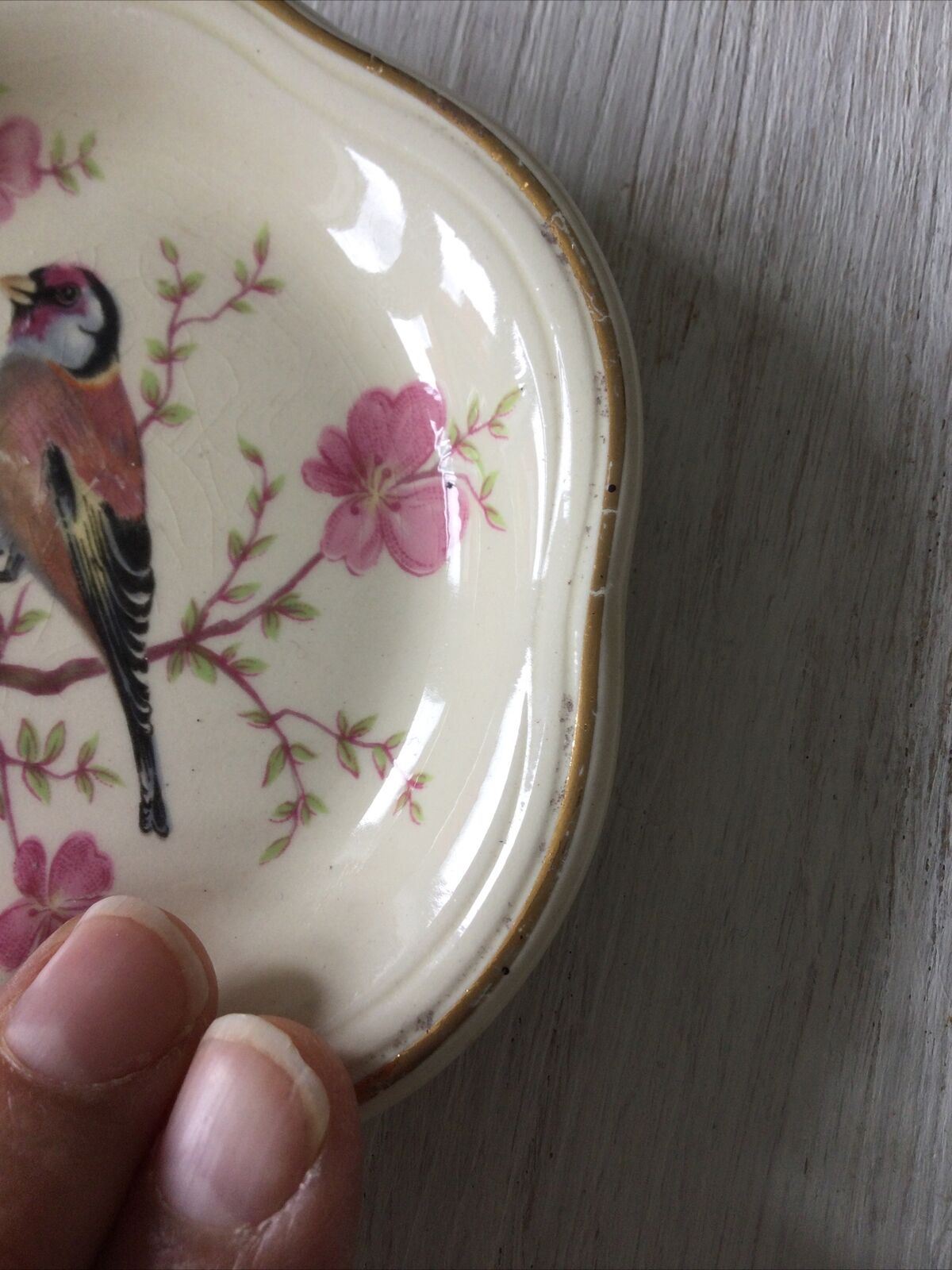 Royal Worcester Palissy Trinket Dish Small Plate Bird On Cherry Blossom Lesser Redpoll Finch.