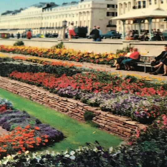 Vintage Postcard ENGLAND - Brighton - Bright Colours Sunken Gardens & Peace Statue Brighton Flowers