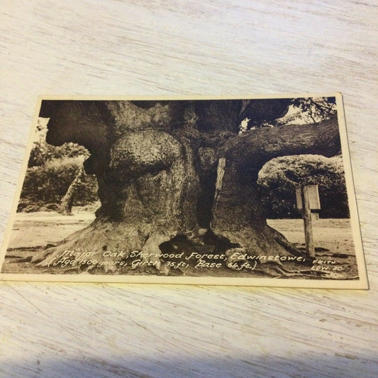 Vintage Postcard Major Oak Sherwood Forest Edwinstowe. Ancient Oak Tree sepia