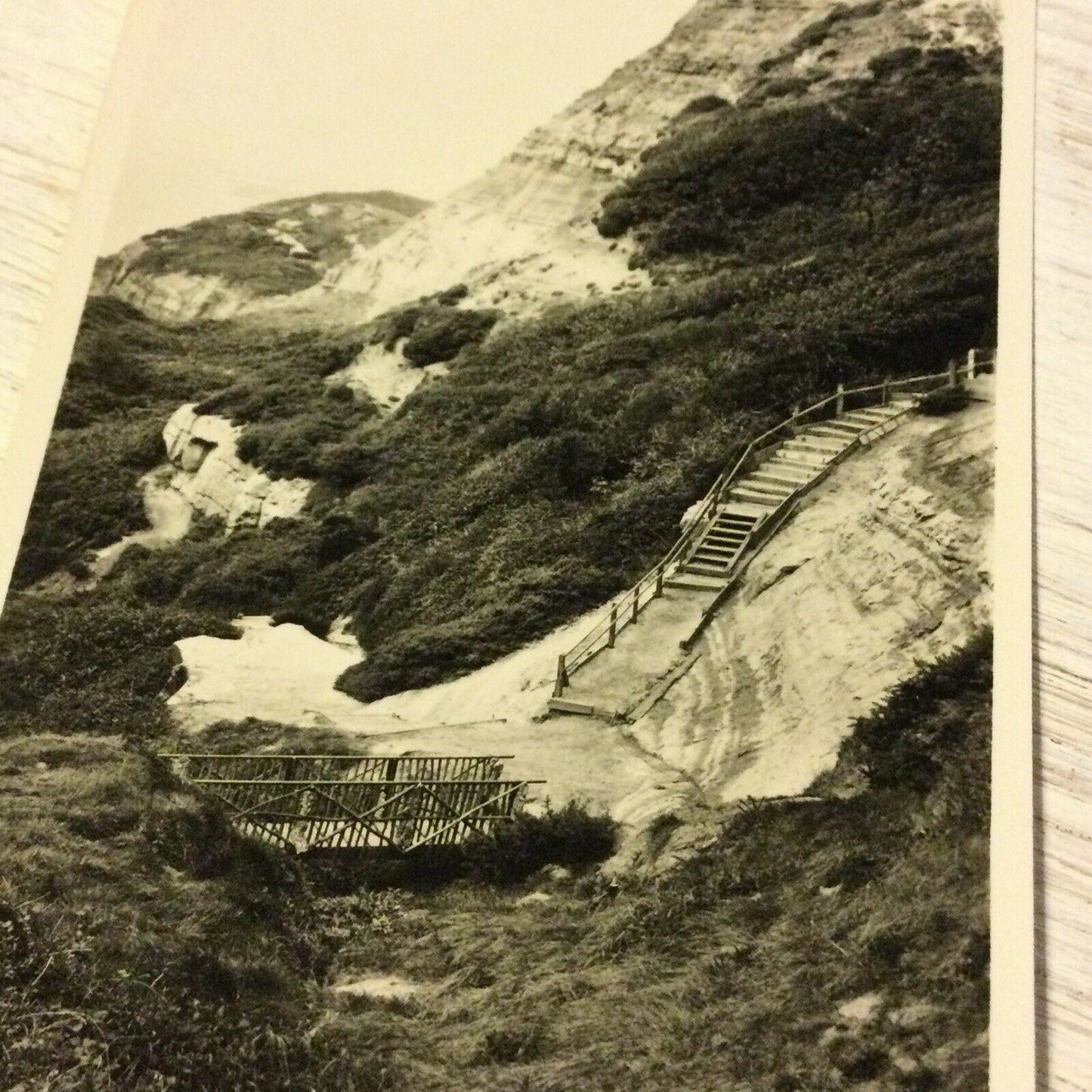 Vintage Postcard RP Blackgang Chine Isle Of Wight Black & White Photo