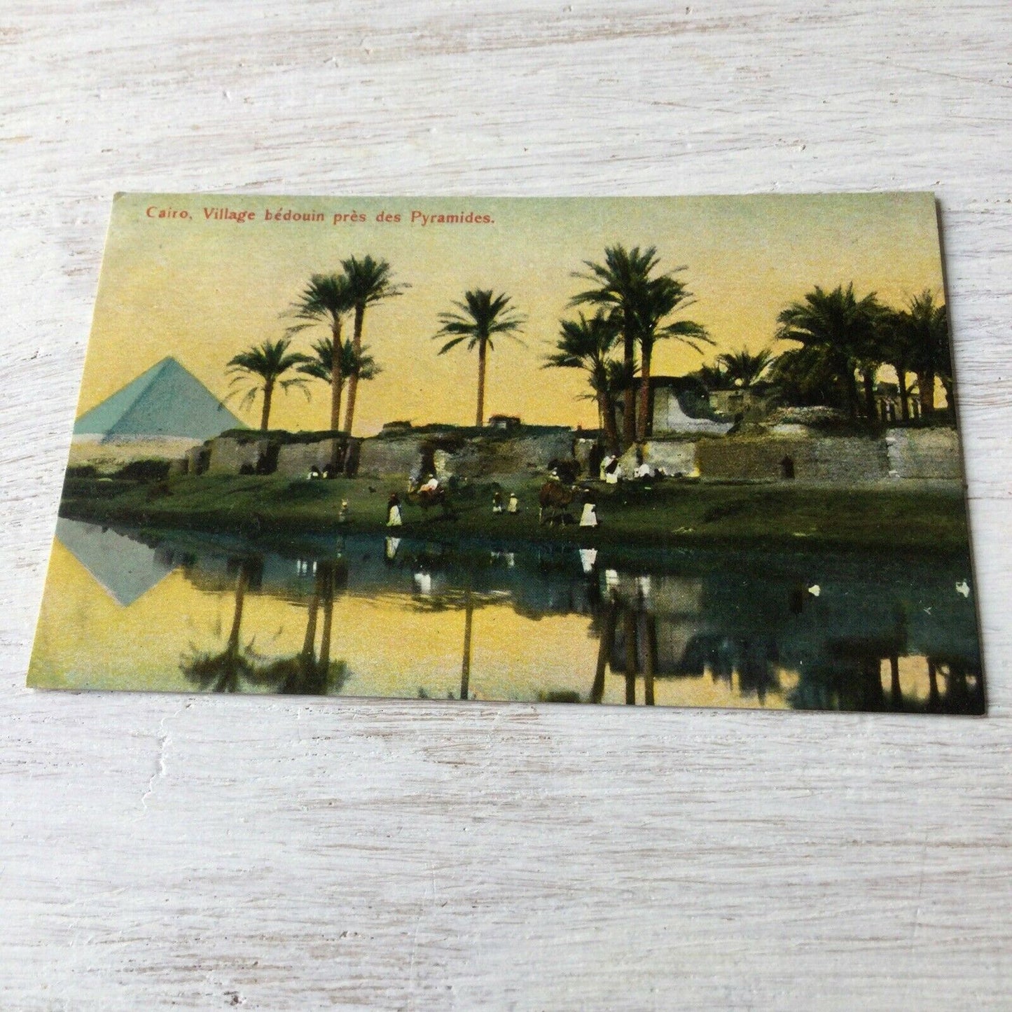 Vintage Tinted Postcard. Cairo Egypt. Bedouin Village Near The Pyramids. River Nile, Palm Trees.