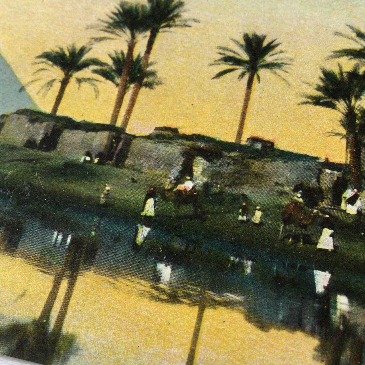 Vintage Tinted Postcard. Cairo Egypt. Bedouin Village Near The Pyramids. River Nile, Palm Trees.