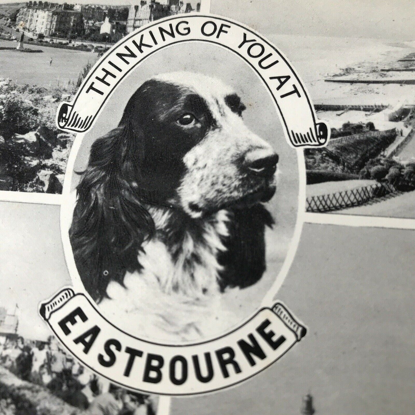 Vintage Postcard Eastbourne Thinking Of You Dog Spaniel Beachy Head Lighthouse