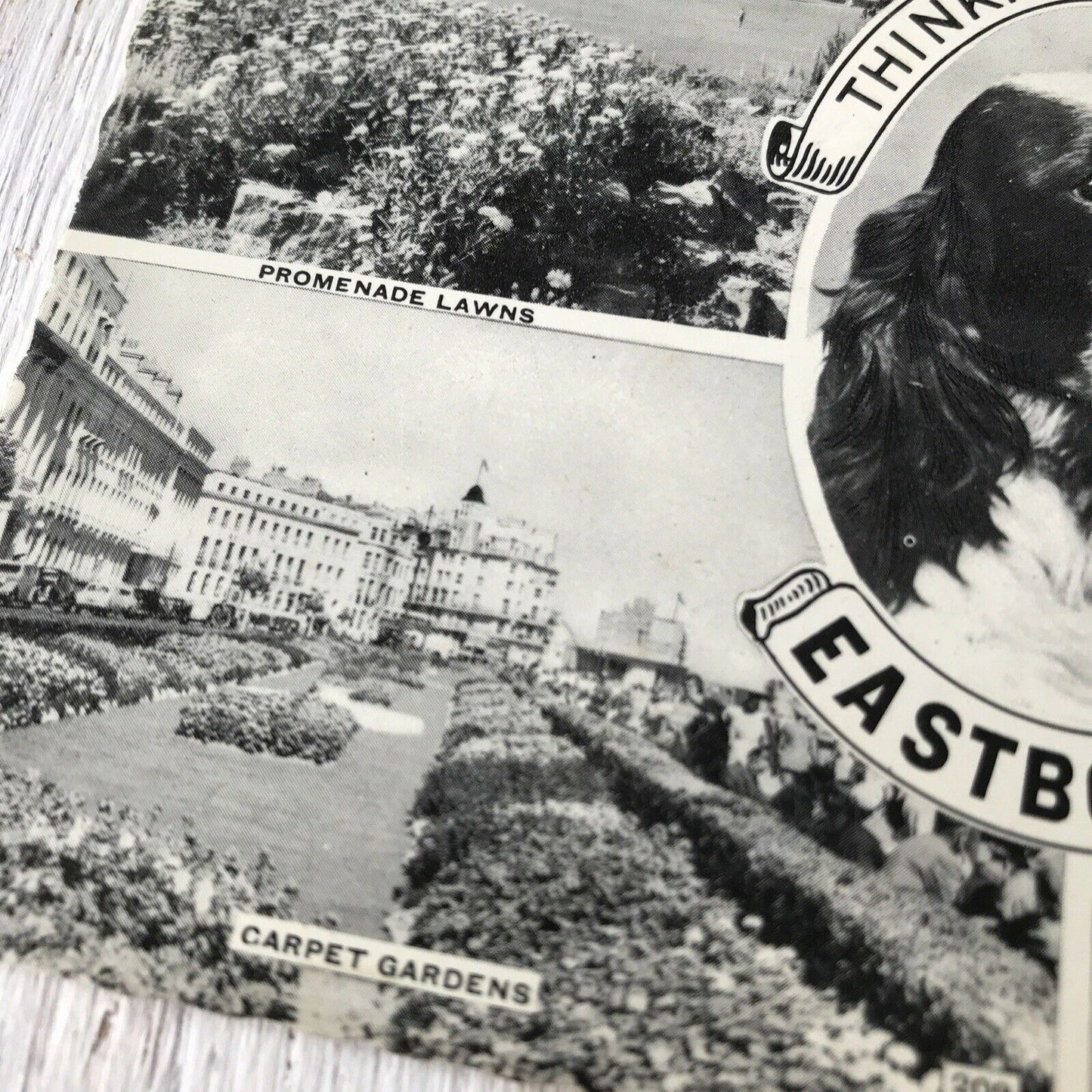 Vintage Postcard Eastbourne Thinking Of You Dog Spaniel Beachy Head Lighthouse