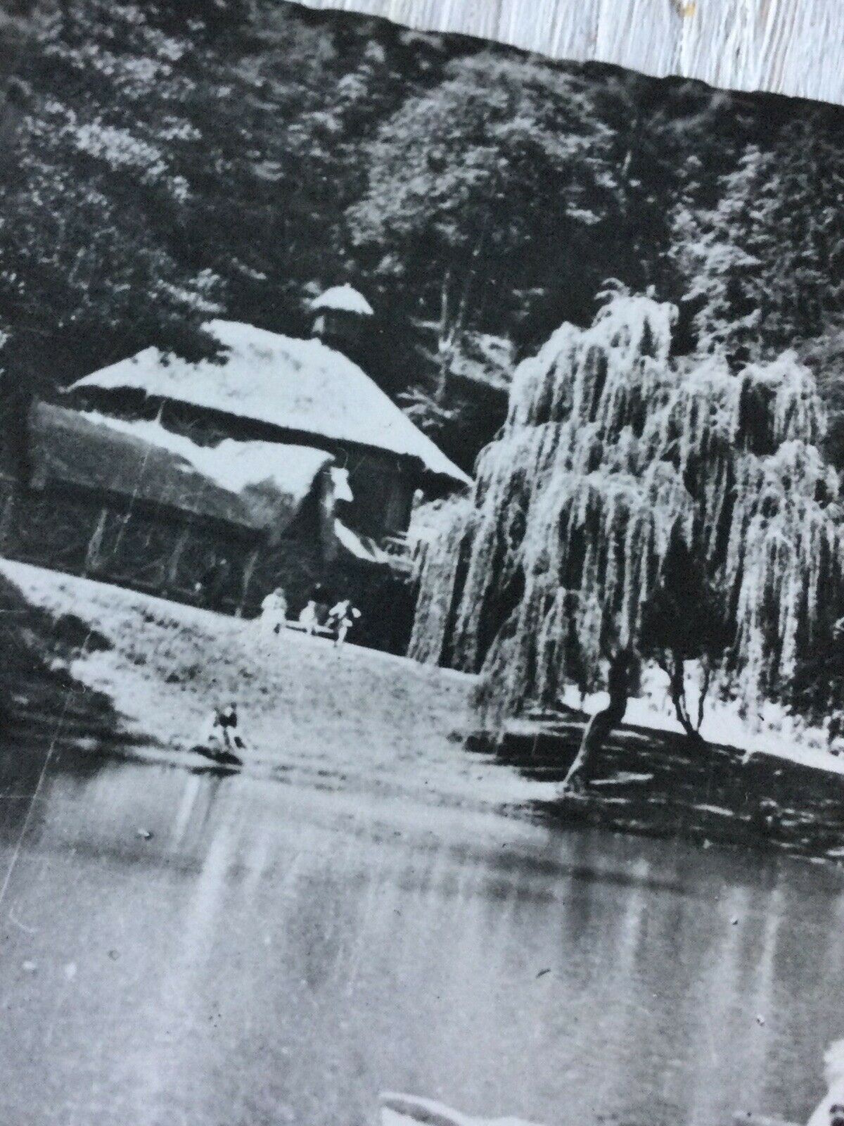 Vintage Postcard France Luchon Quinconces Park Lake Rowing Boat Weeping Willow