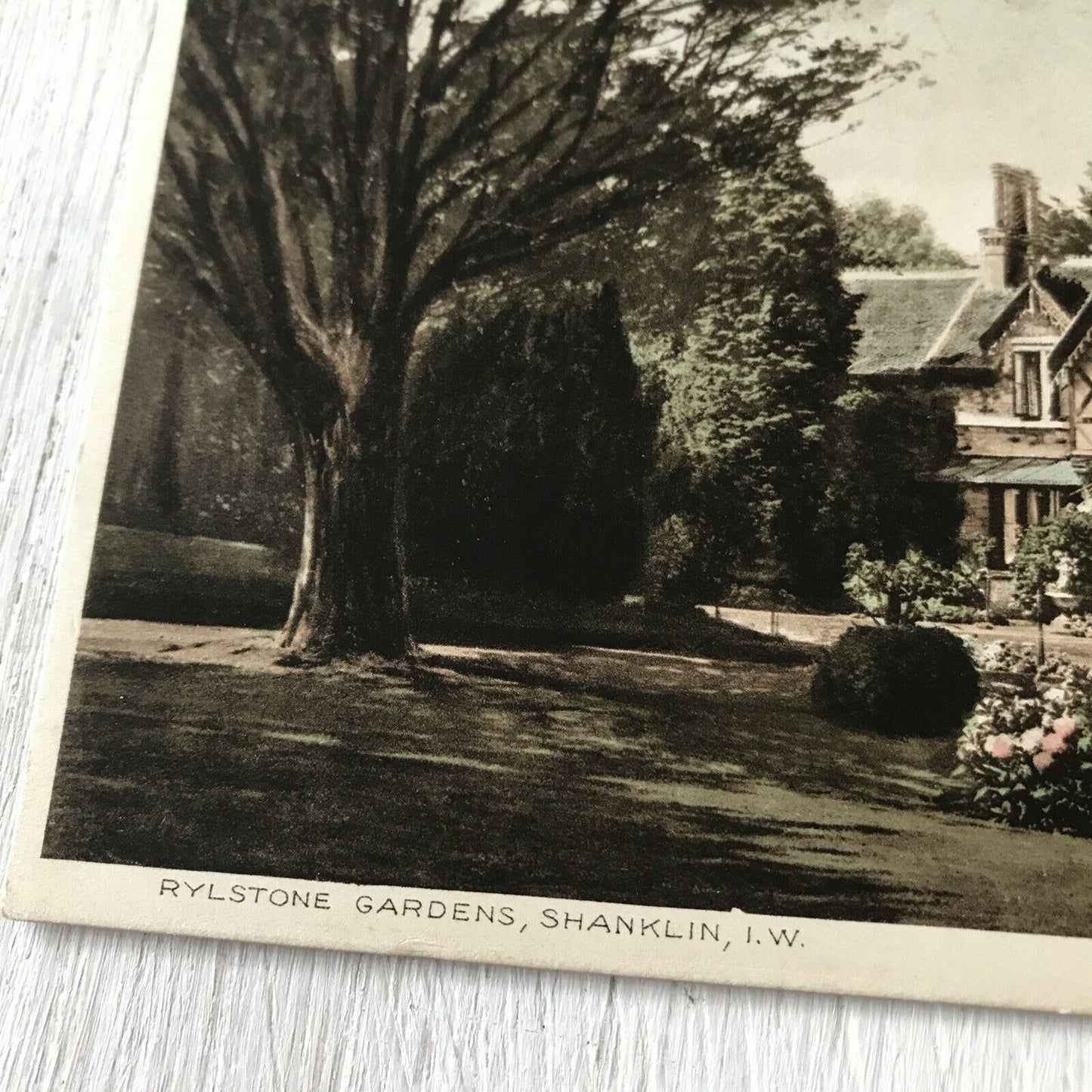 Isle Of Wight Memorabilia Vintage Postcard Shanklin Rhylstone Gardens House