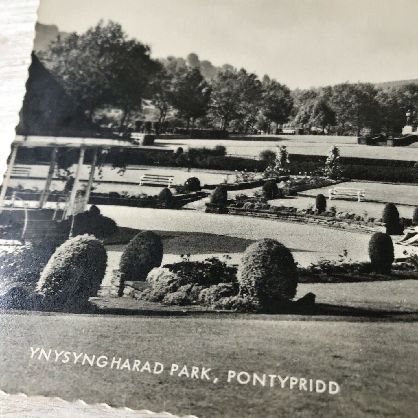 Vintage RP Postcard Wales Pontypridd Ynysyngharad Park Fancy Edge Black & White