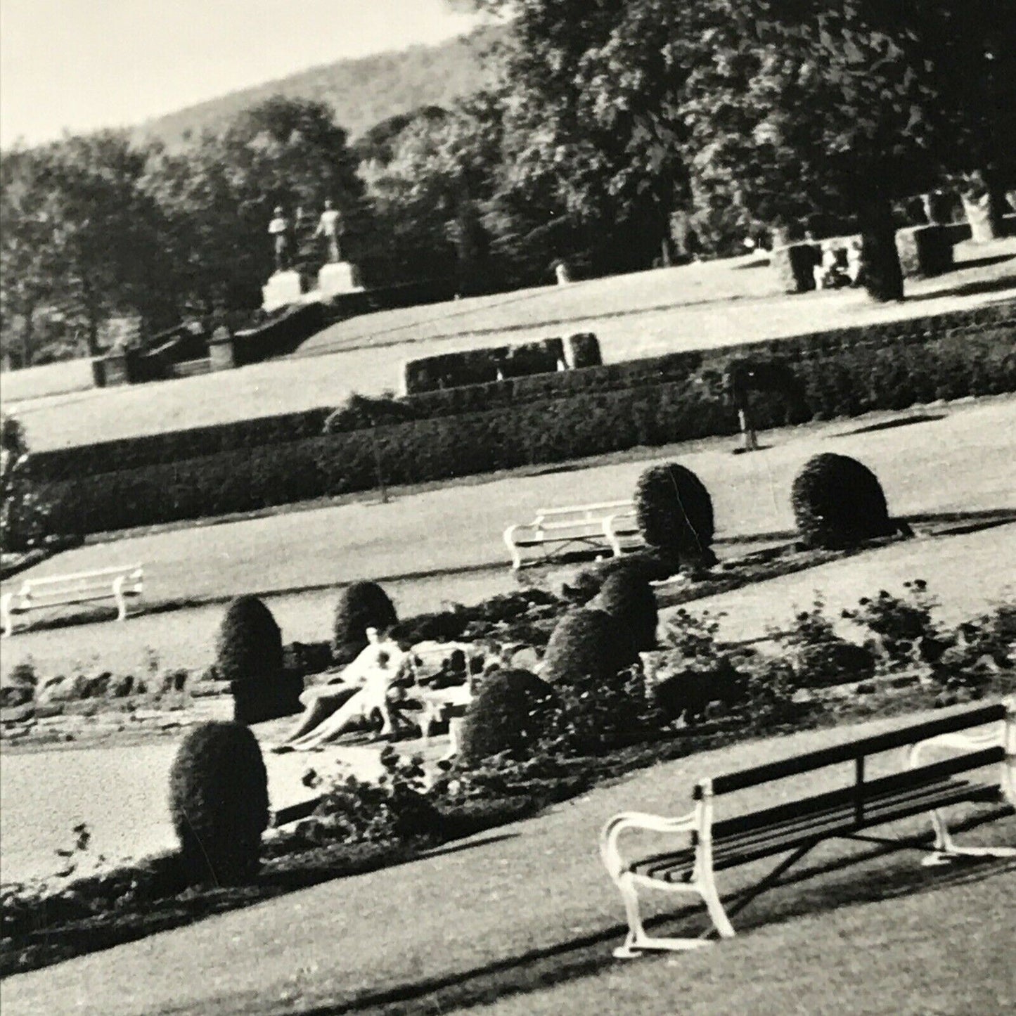 Vintage RP Postcard Wales Pontypridd Ynysyngharad Park Fancy Edge Black & White