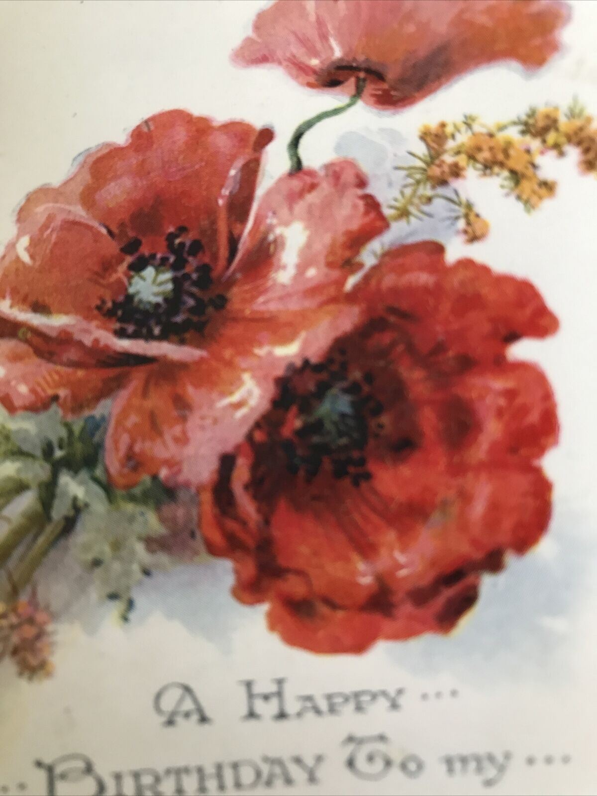 Vintage Birthday Greetings Postcard Card For Daughter Poem Poppies Posy Glossy