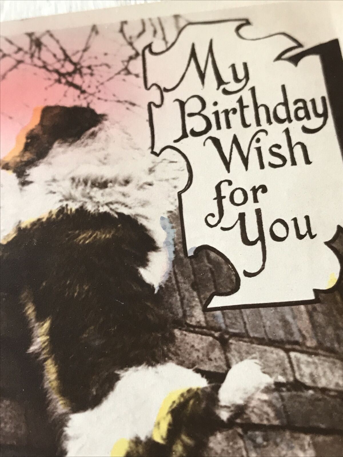 Vintage Birthday Greetings Postcard Card Cute Dog Nice Poem Real Photo Tinted