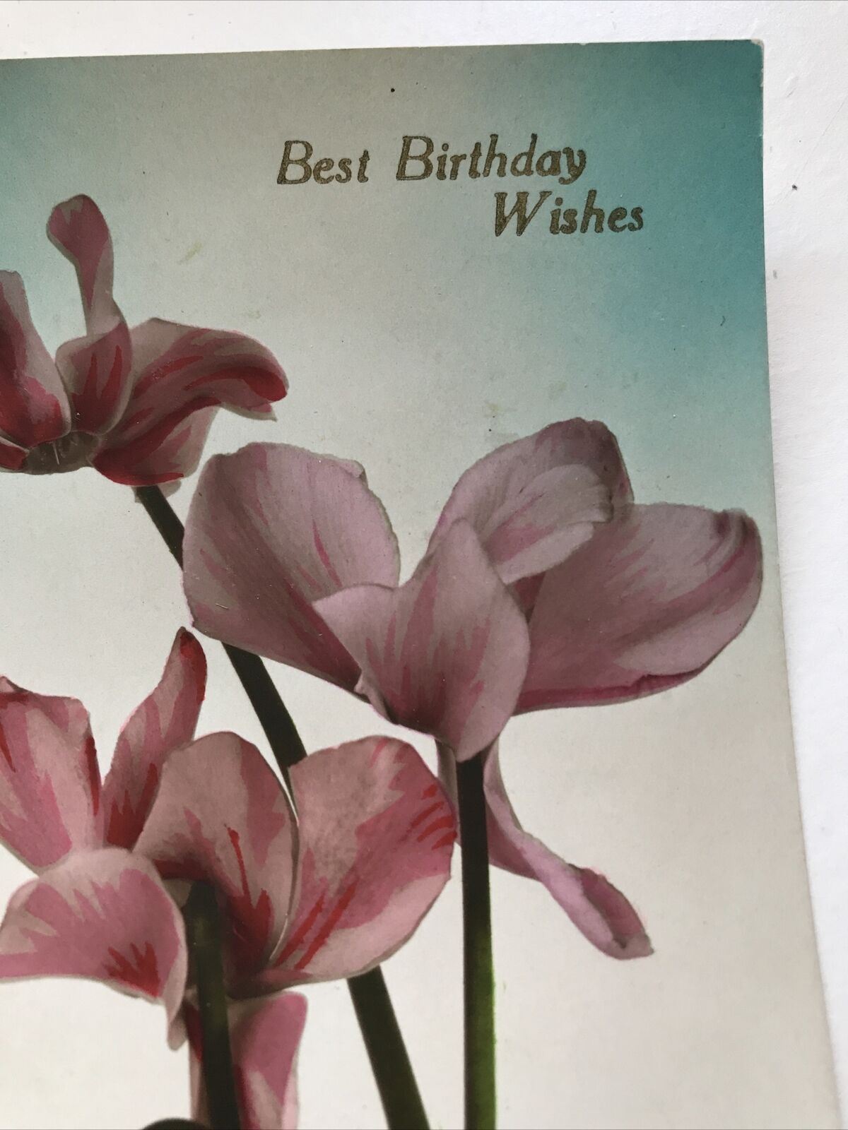 Vintage Postcard Birthday Greetings Cyclamen Pink Flowers Nice Poem Pretty