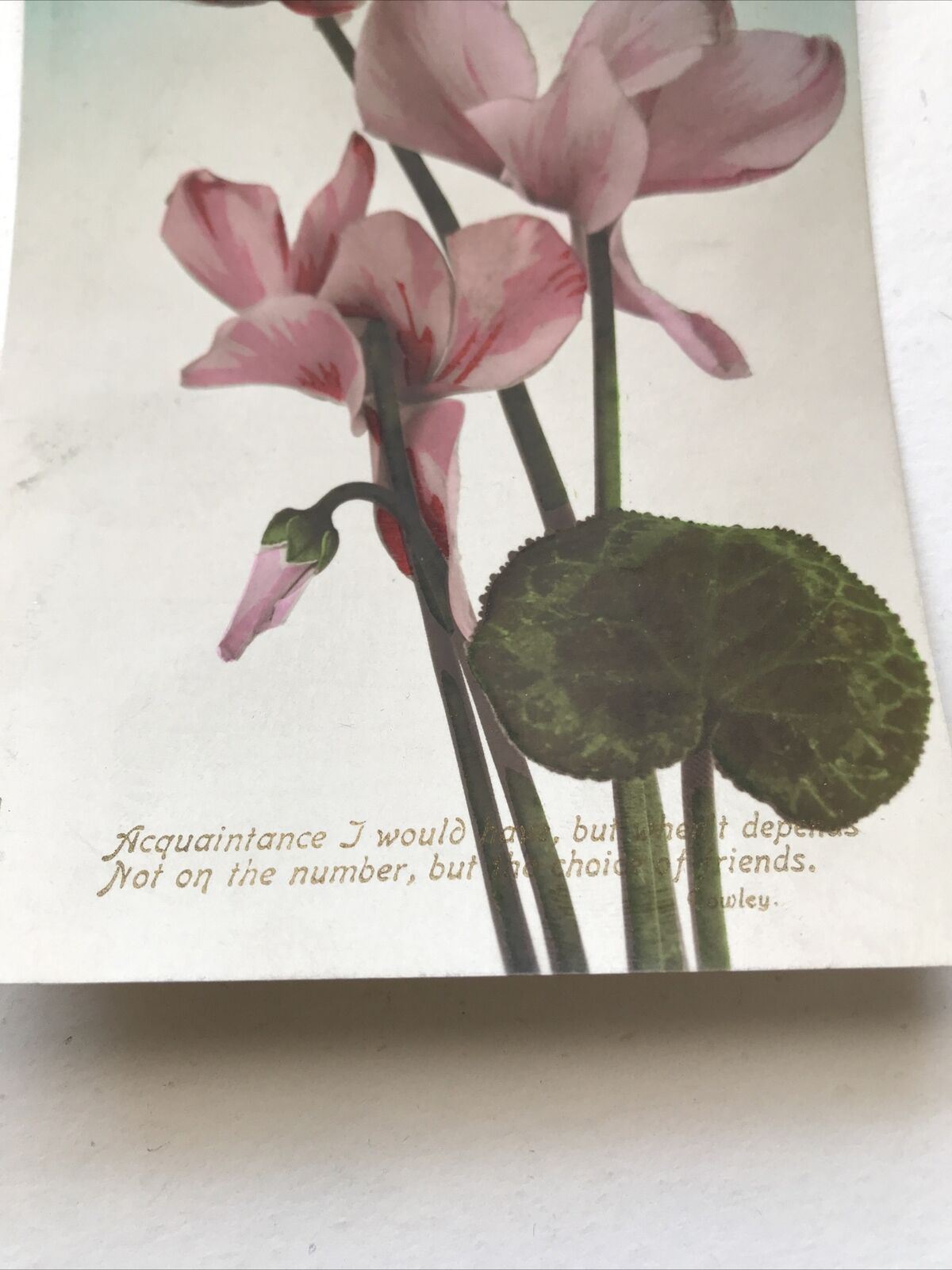 Vintage Postcard Birthday Greetings Cyclamen Pink Flowers Nice Poem Pretty